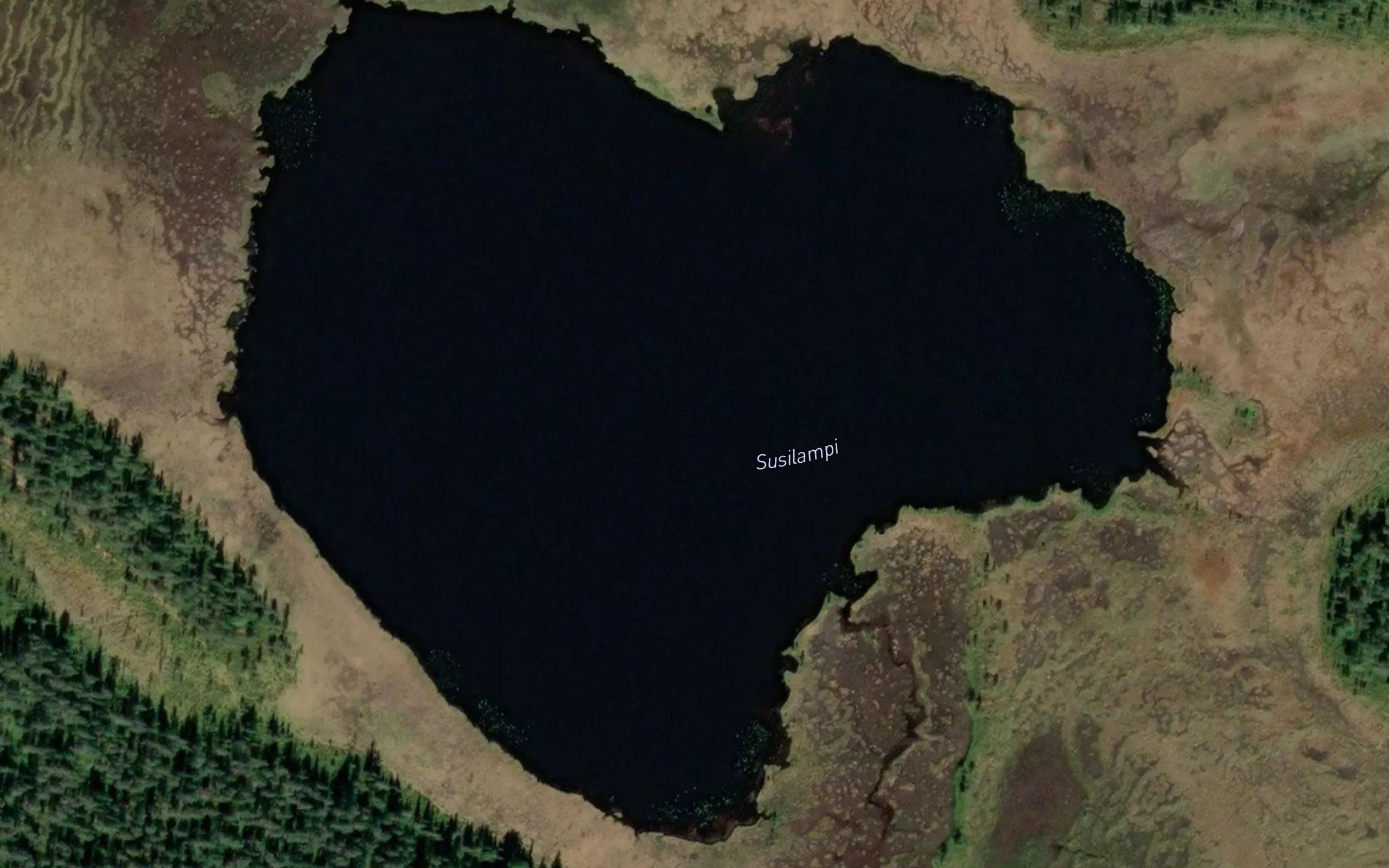 Susilampi