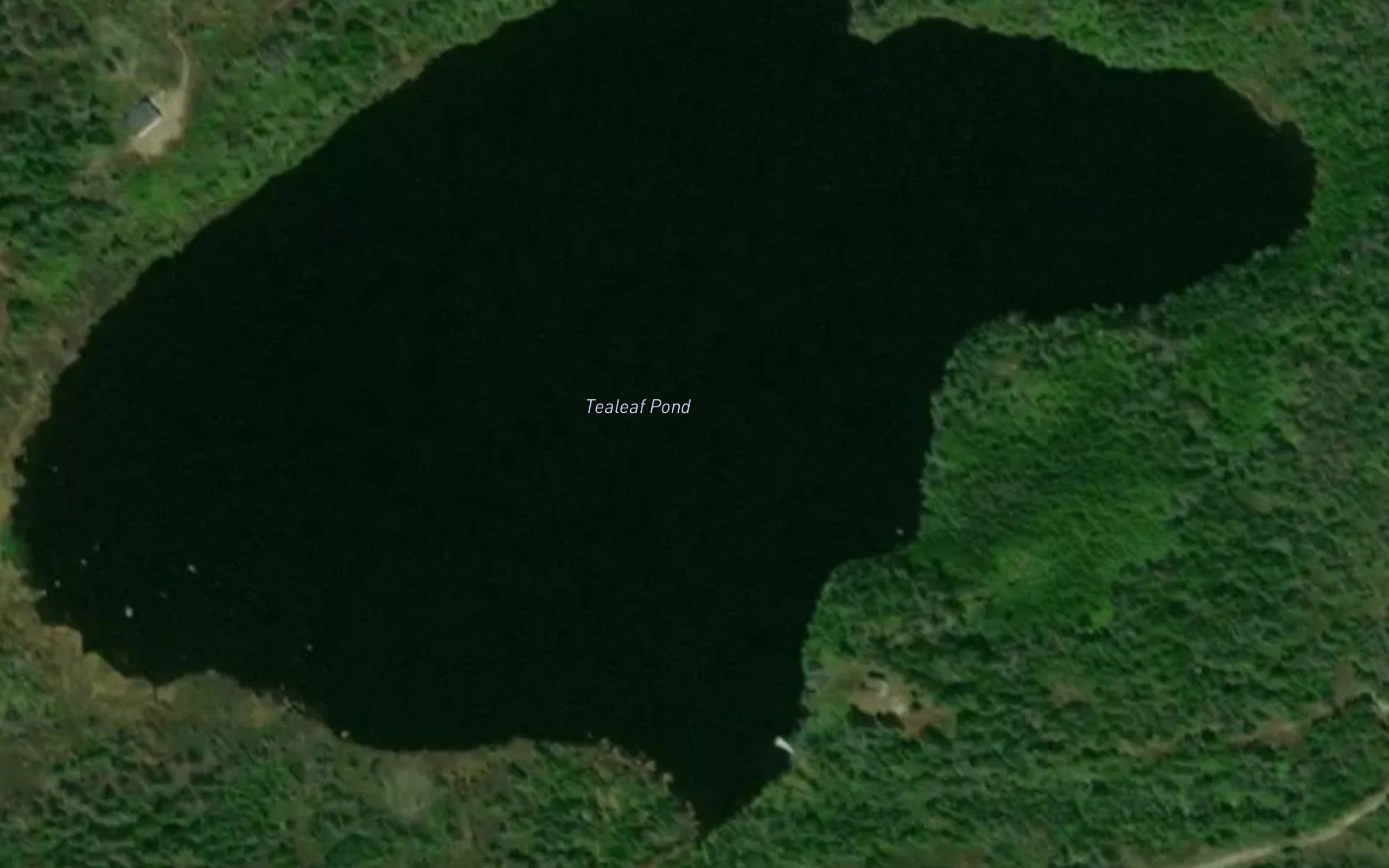Tealeaf Pond