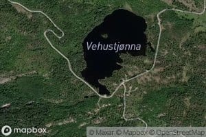 Vehustjonna