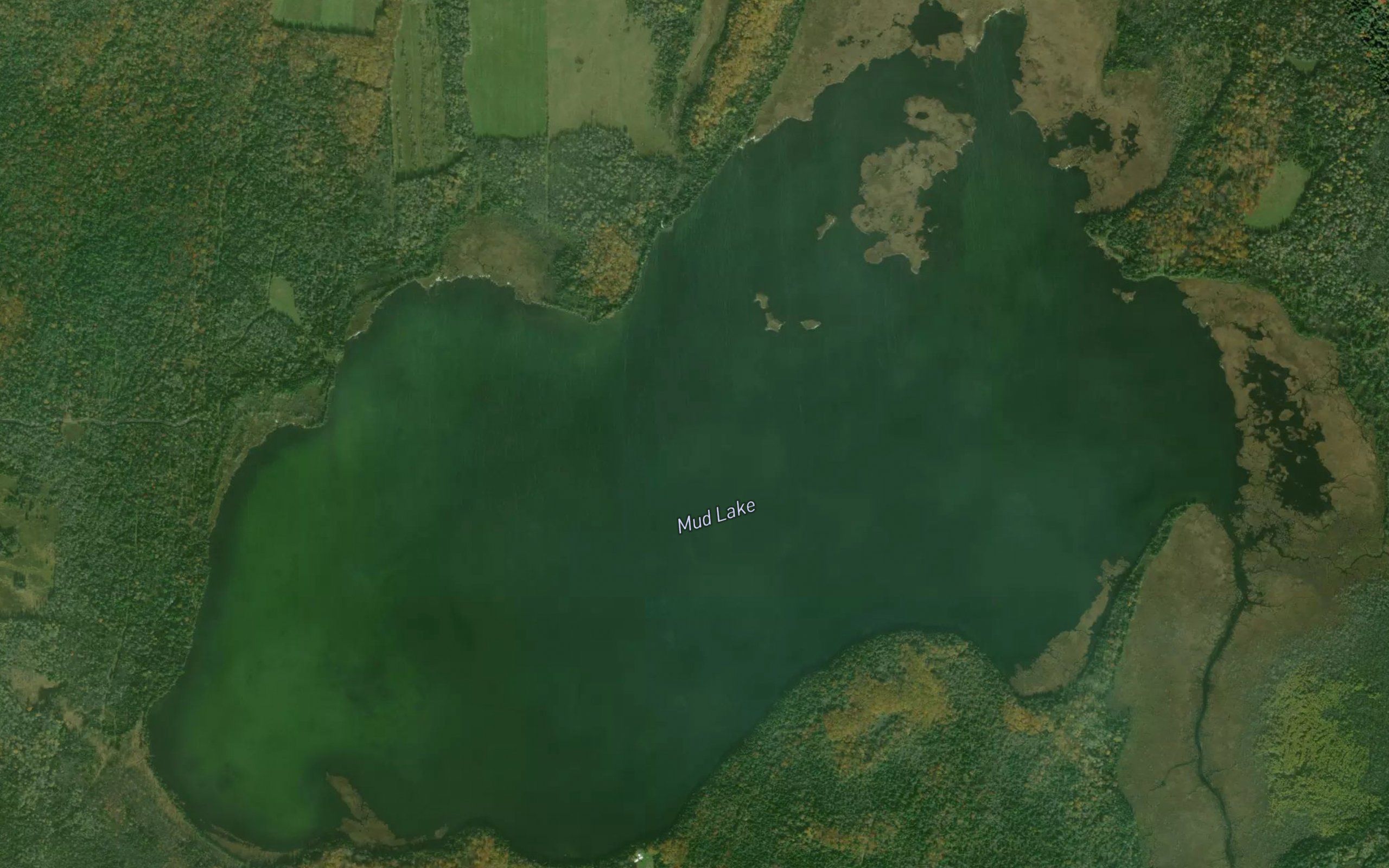 Mud Lake