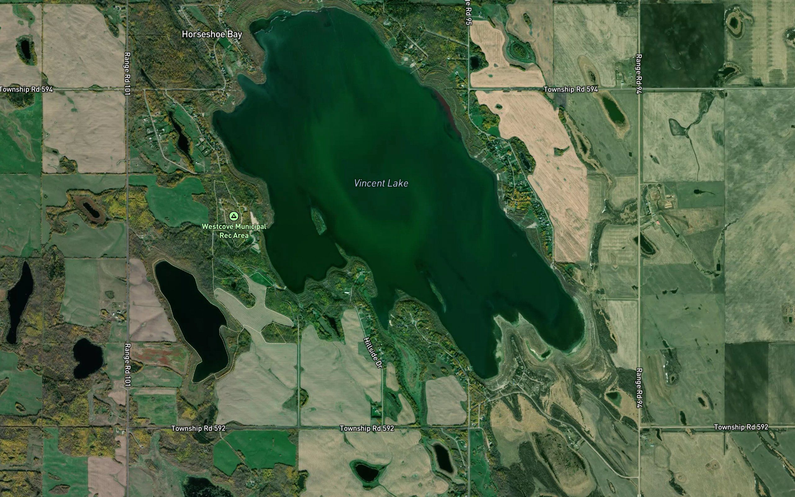 Vincent Lake