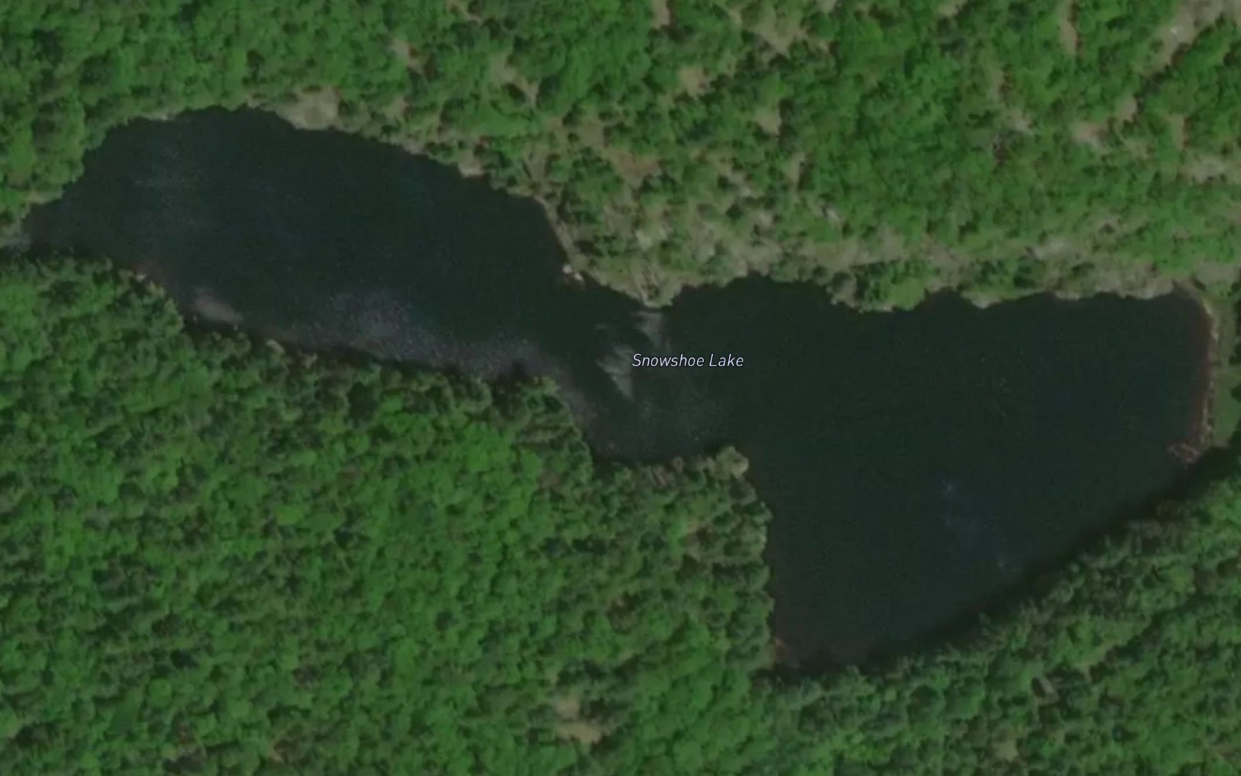 Satellite map of the Snowshoe Lake
