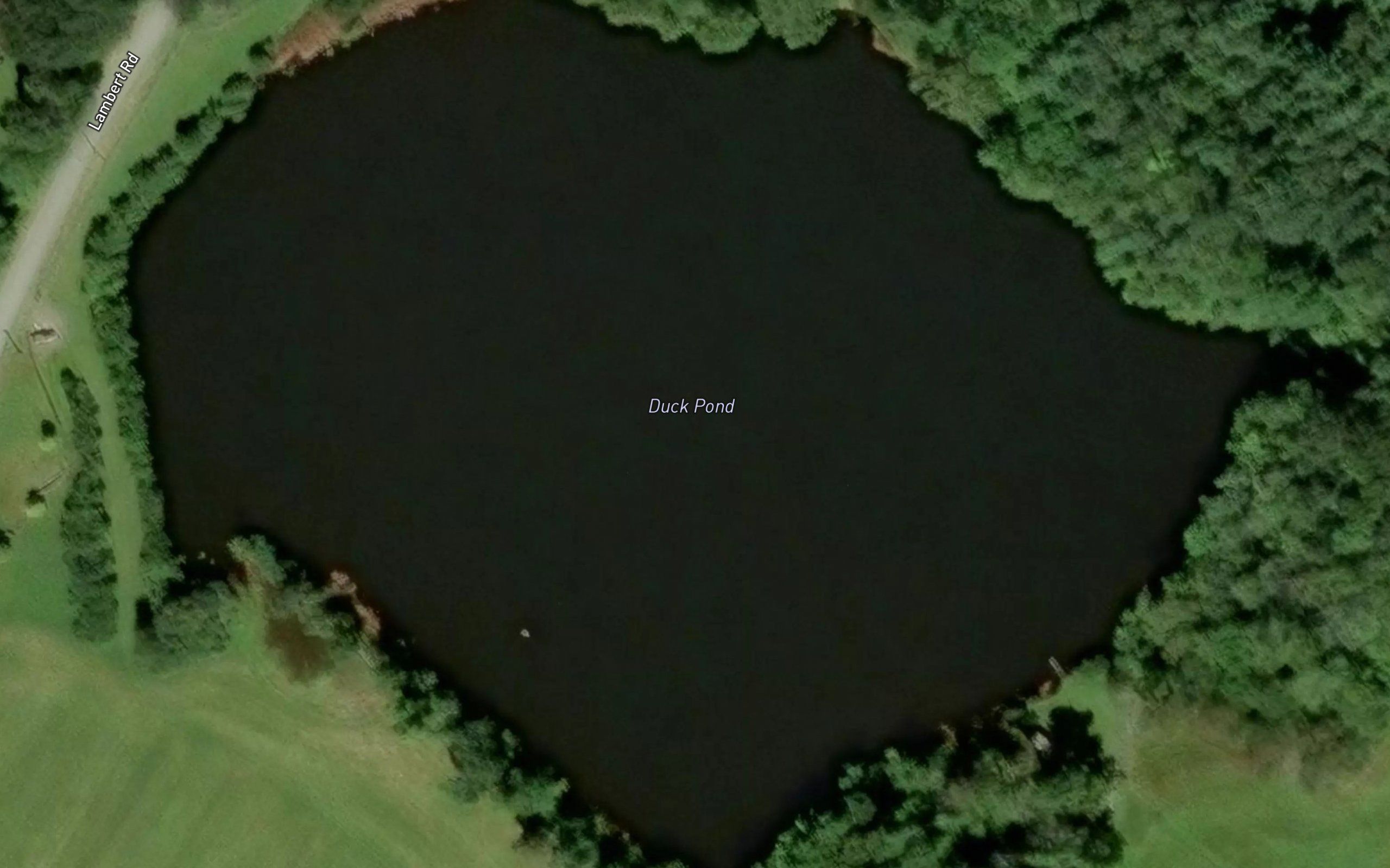 Duck Pond