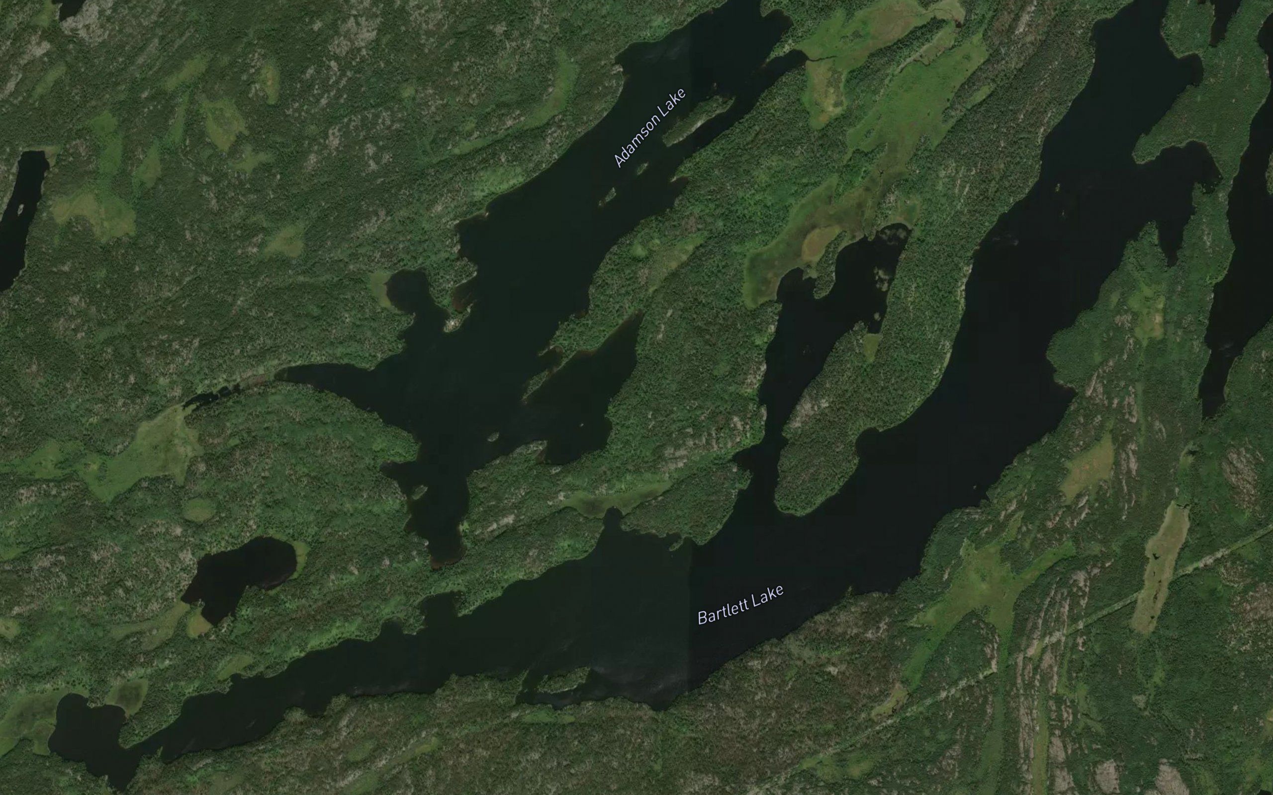 Bartlett Lake