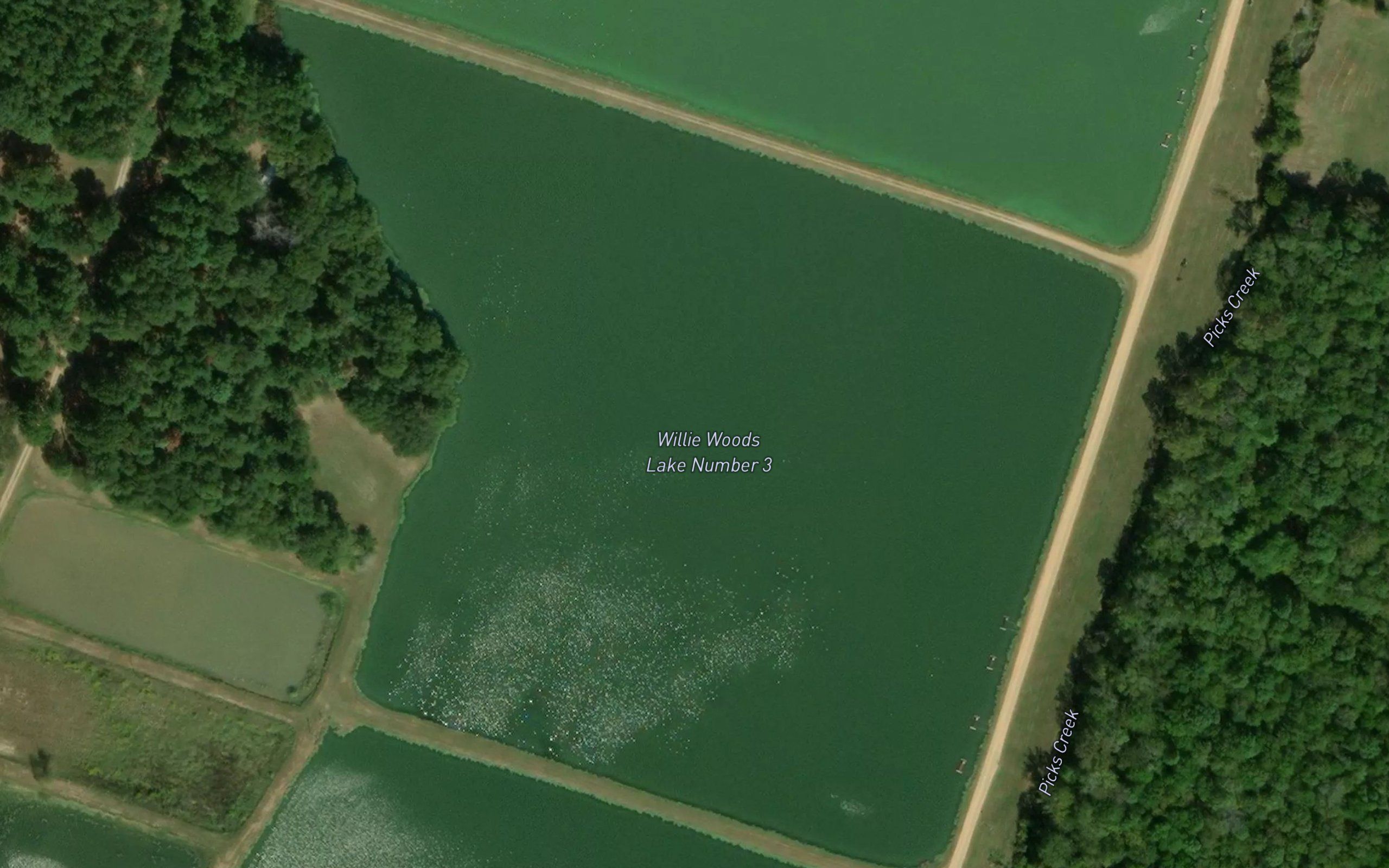 Willie Woods Lake