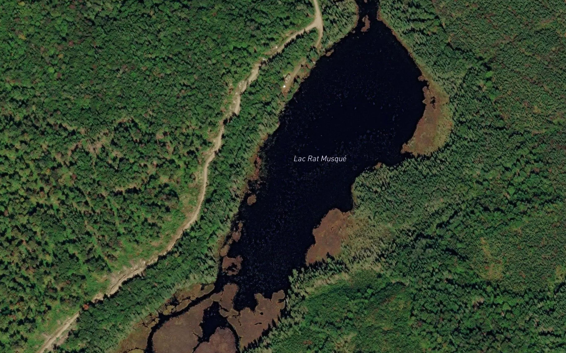 Satellite map of the Lac Rat Musque