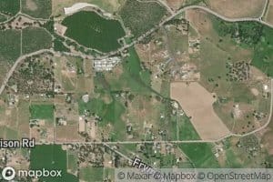 Morrison Siphon Lateral