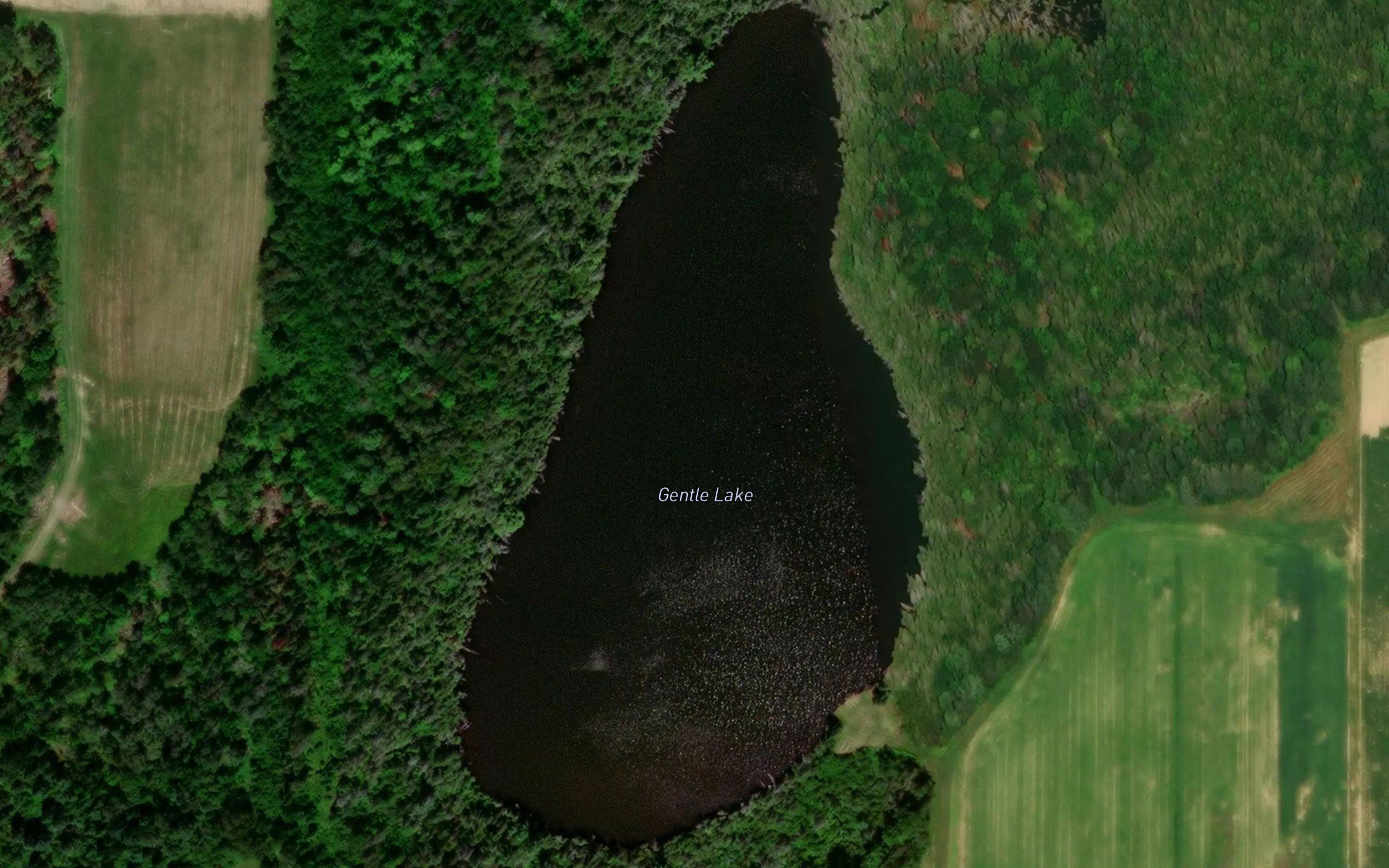 Gentle Lake