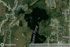 Beaver Pond