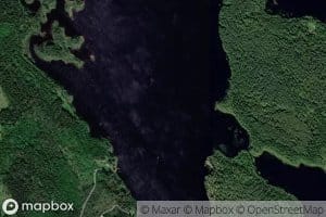 Kytovirta