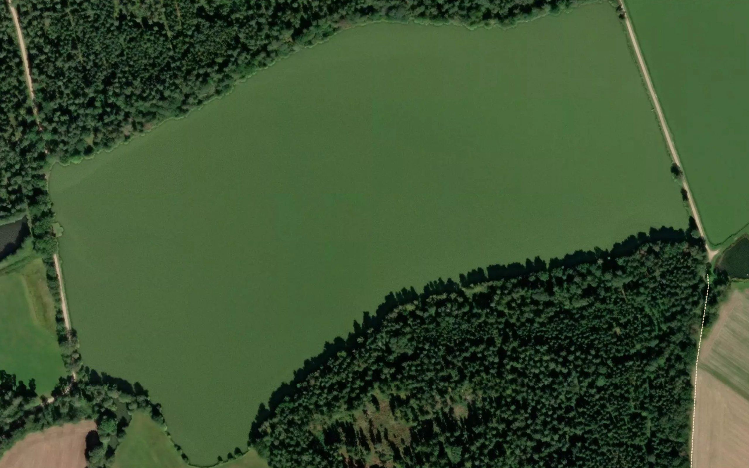 Grosser Weiher