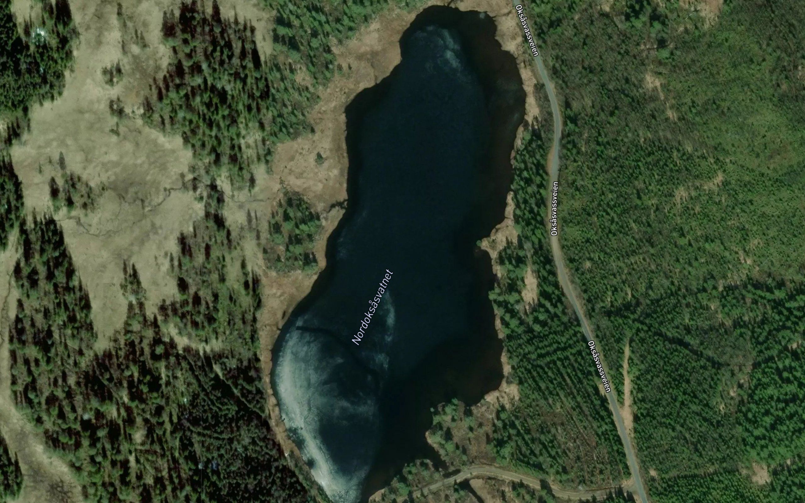Oksastjornane