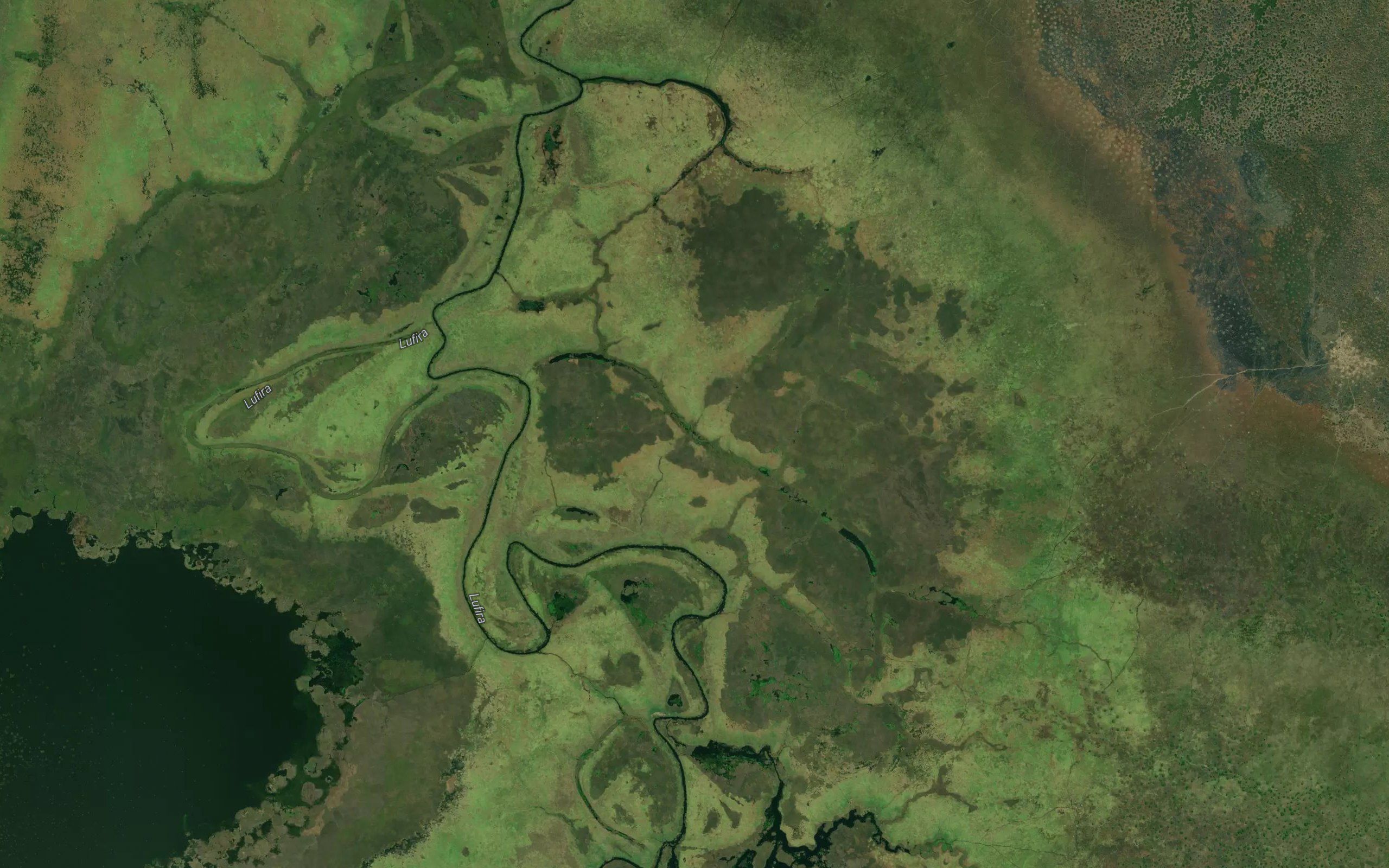 Kayanga