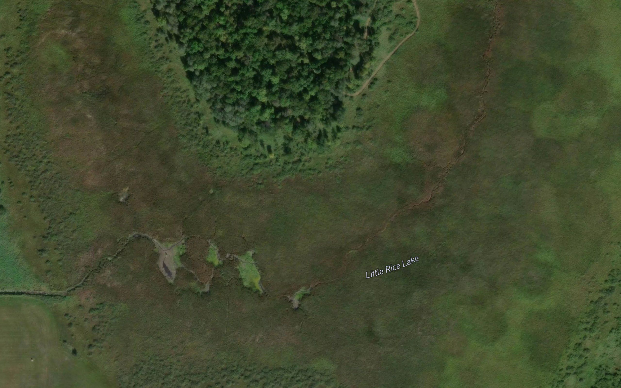 Little Rice Lake