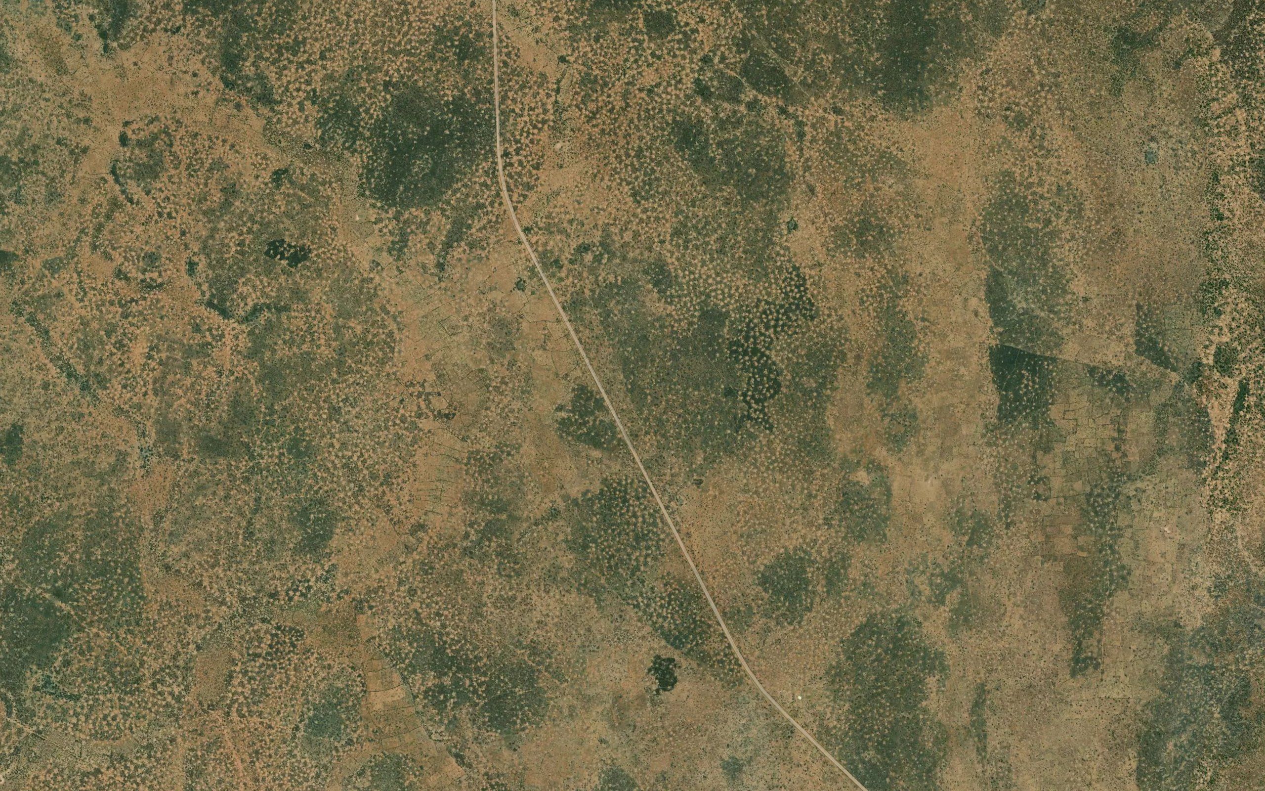 El Hamdi