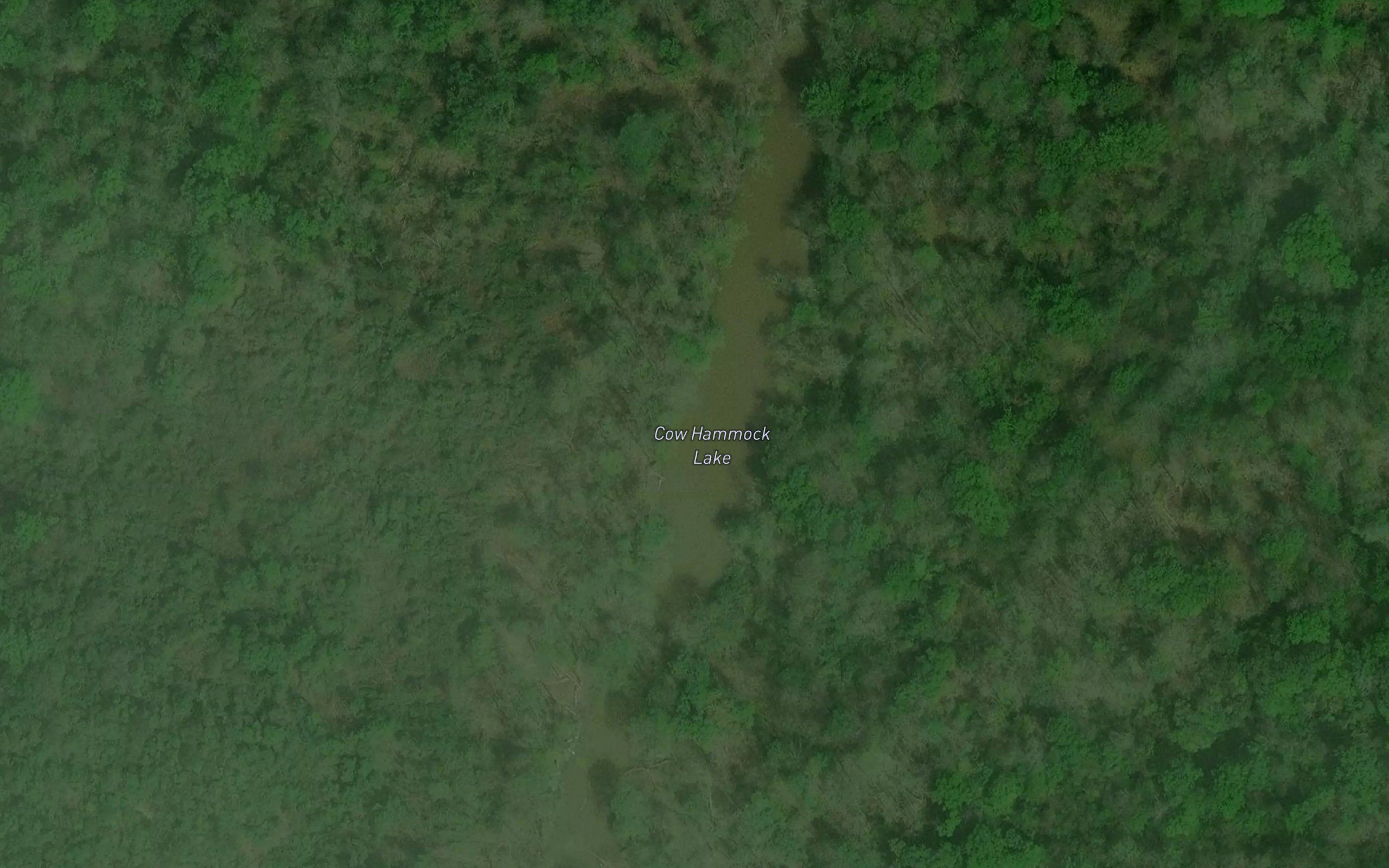 Cow Hammock Lake