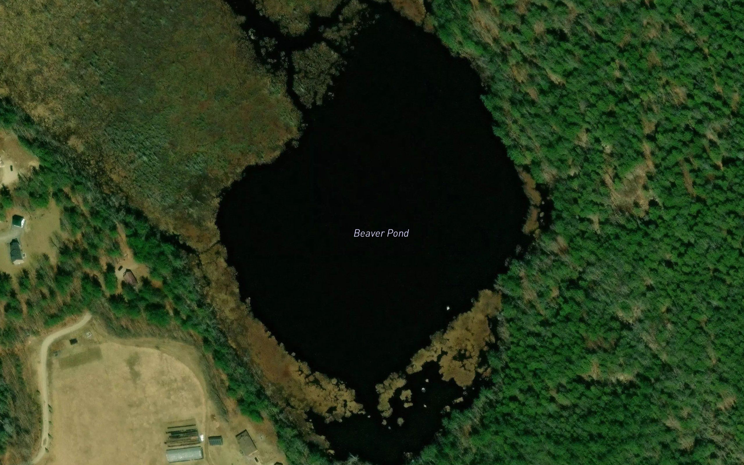 Beaver Pond