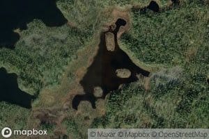 Kiainuluohtjaavras