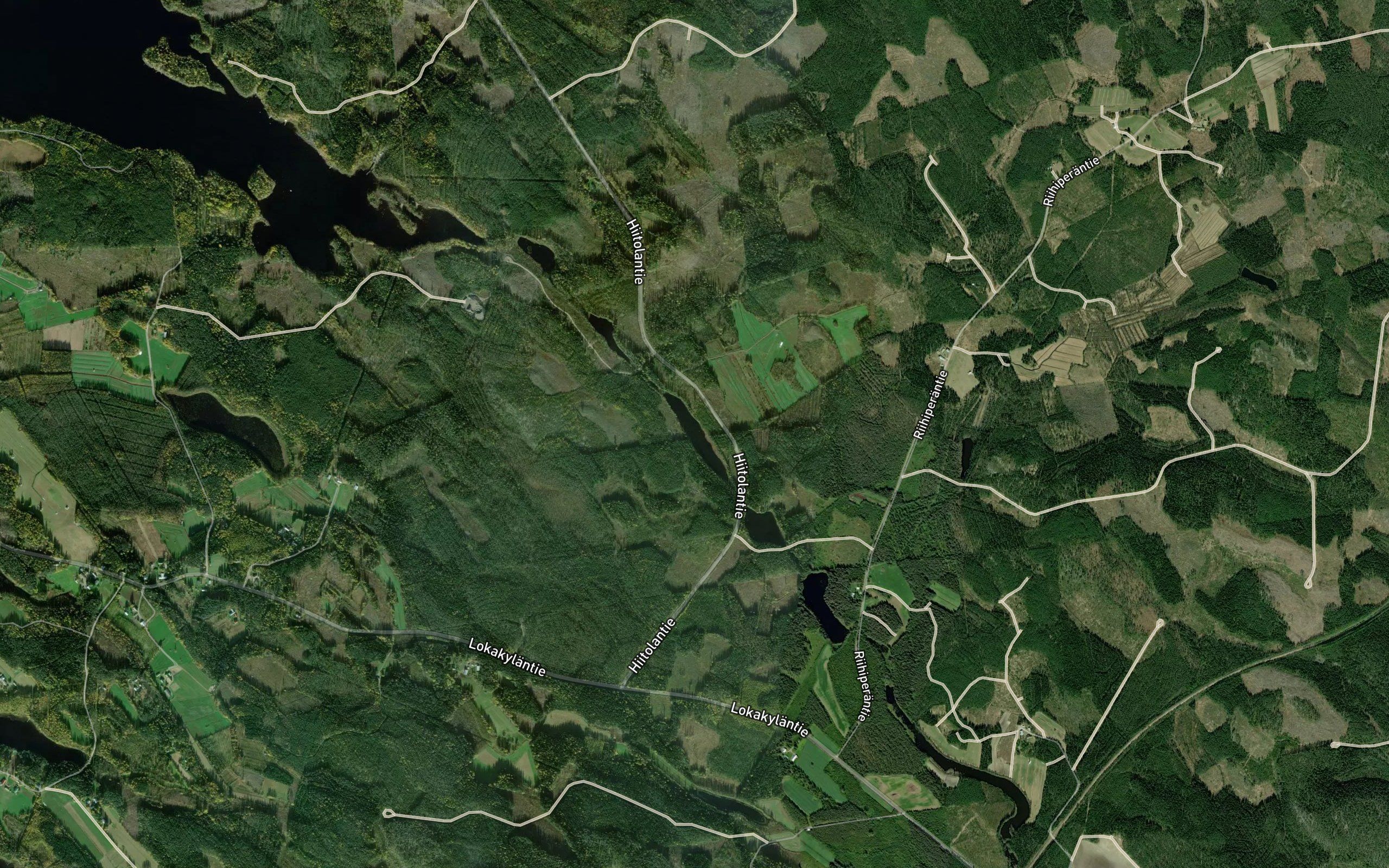 Heinikkosuvanto