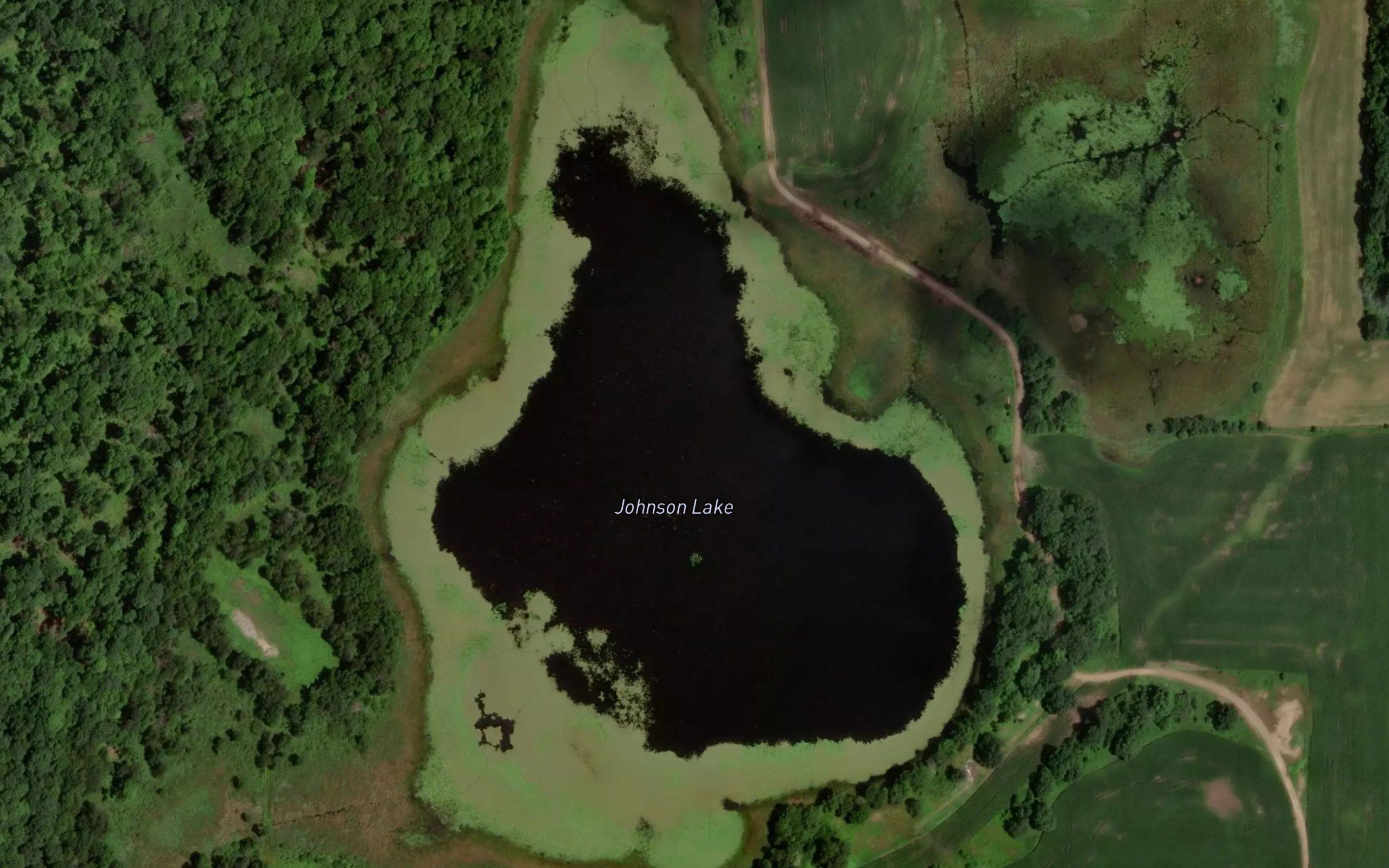 Johnson Lake