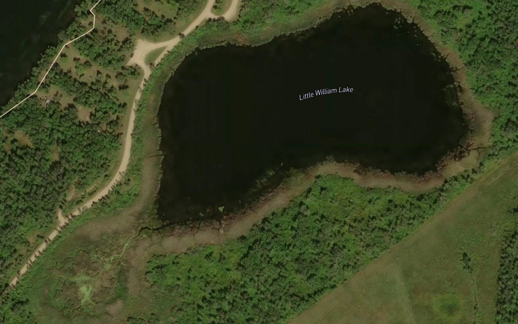Satellite map of the Little William Lake