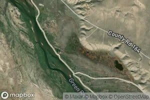 Spitzie Bottom