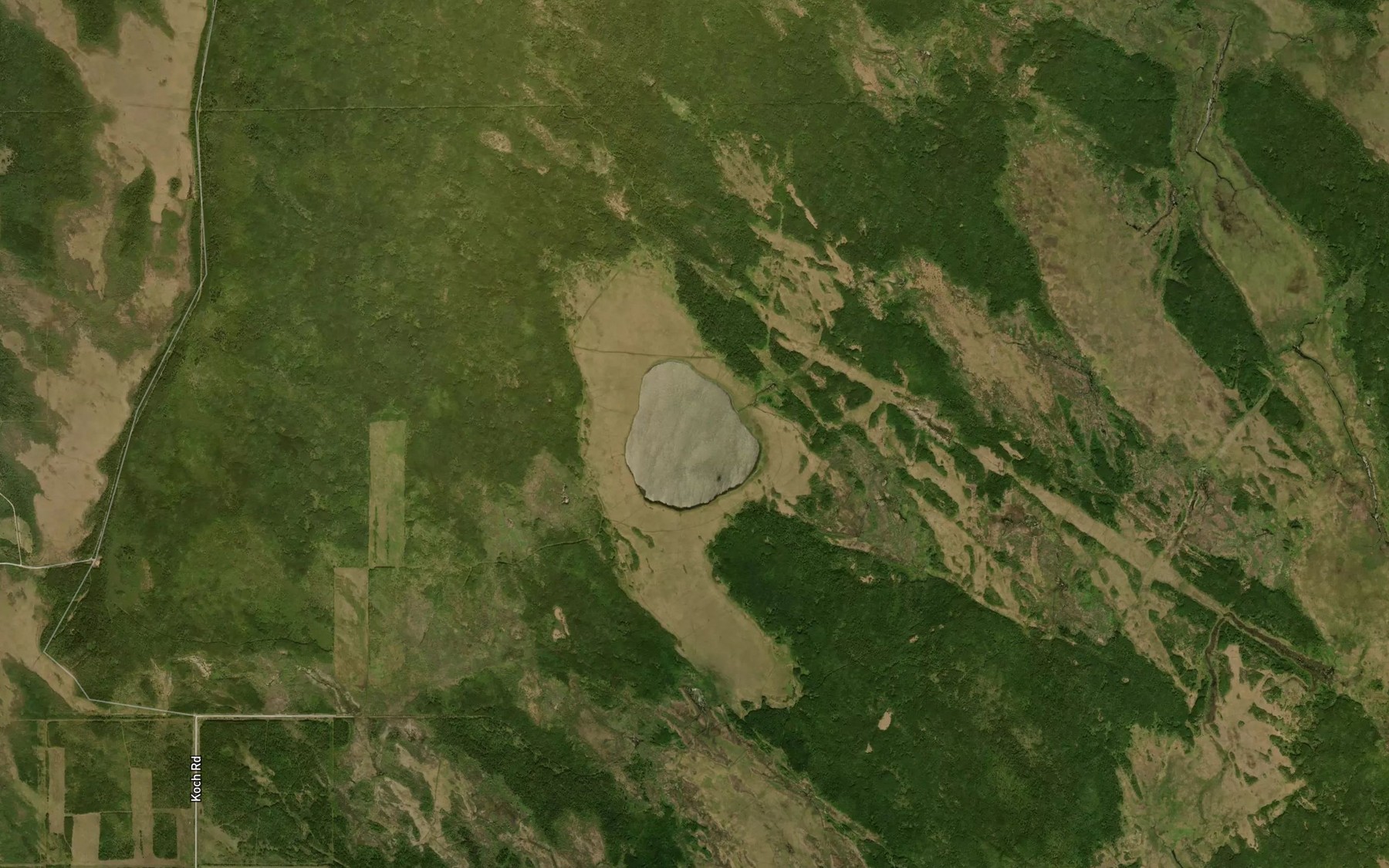 Satellite map of the Wolf Lake