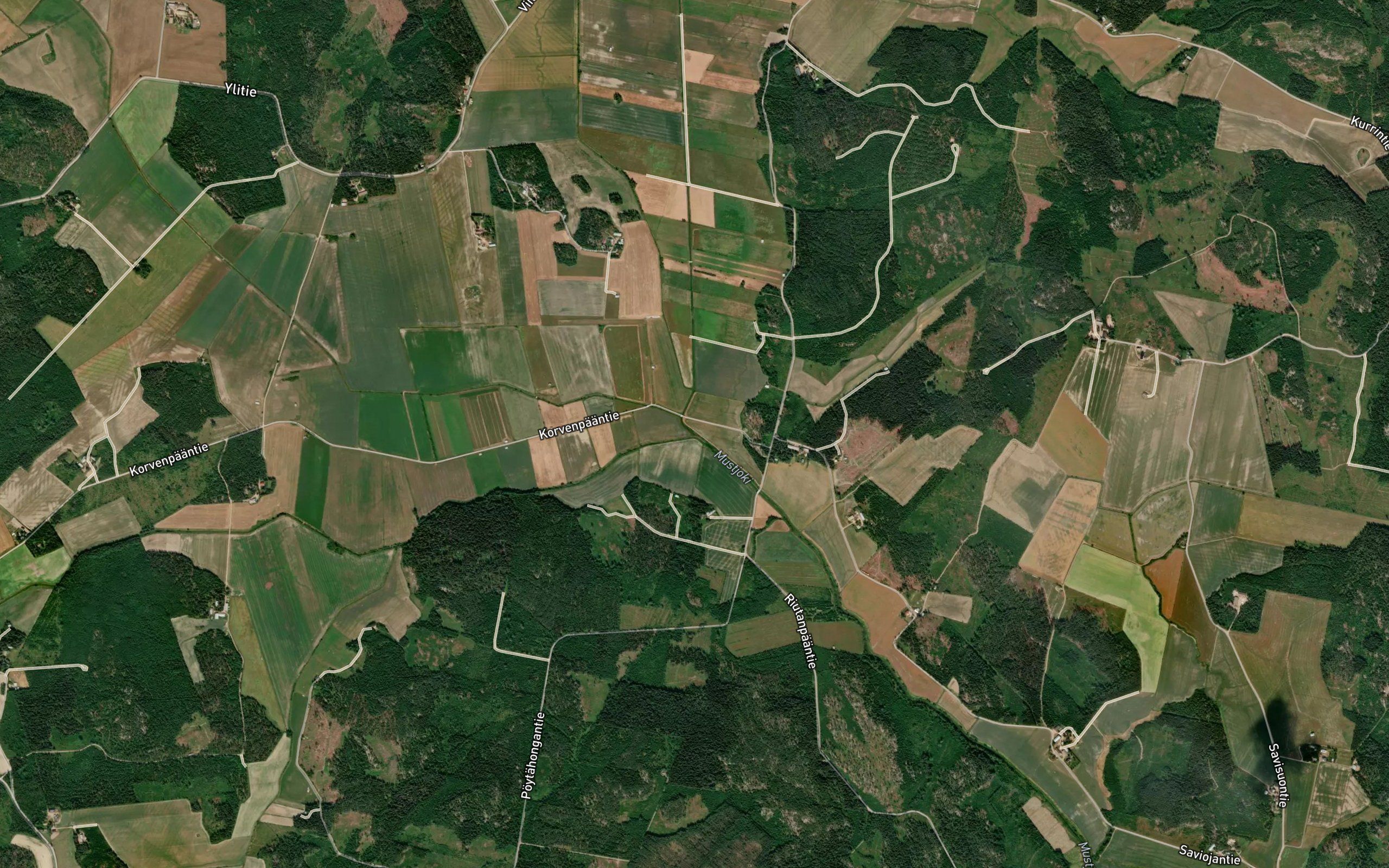Liehuoja