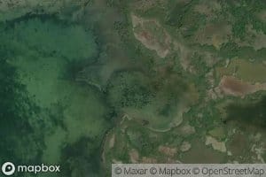 Ensenada de Millones