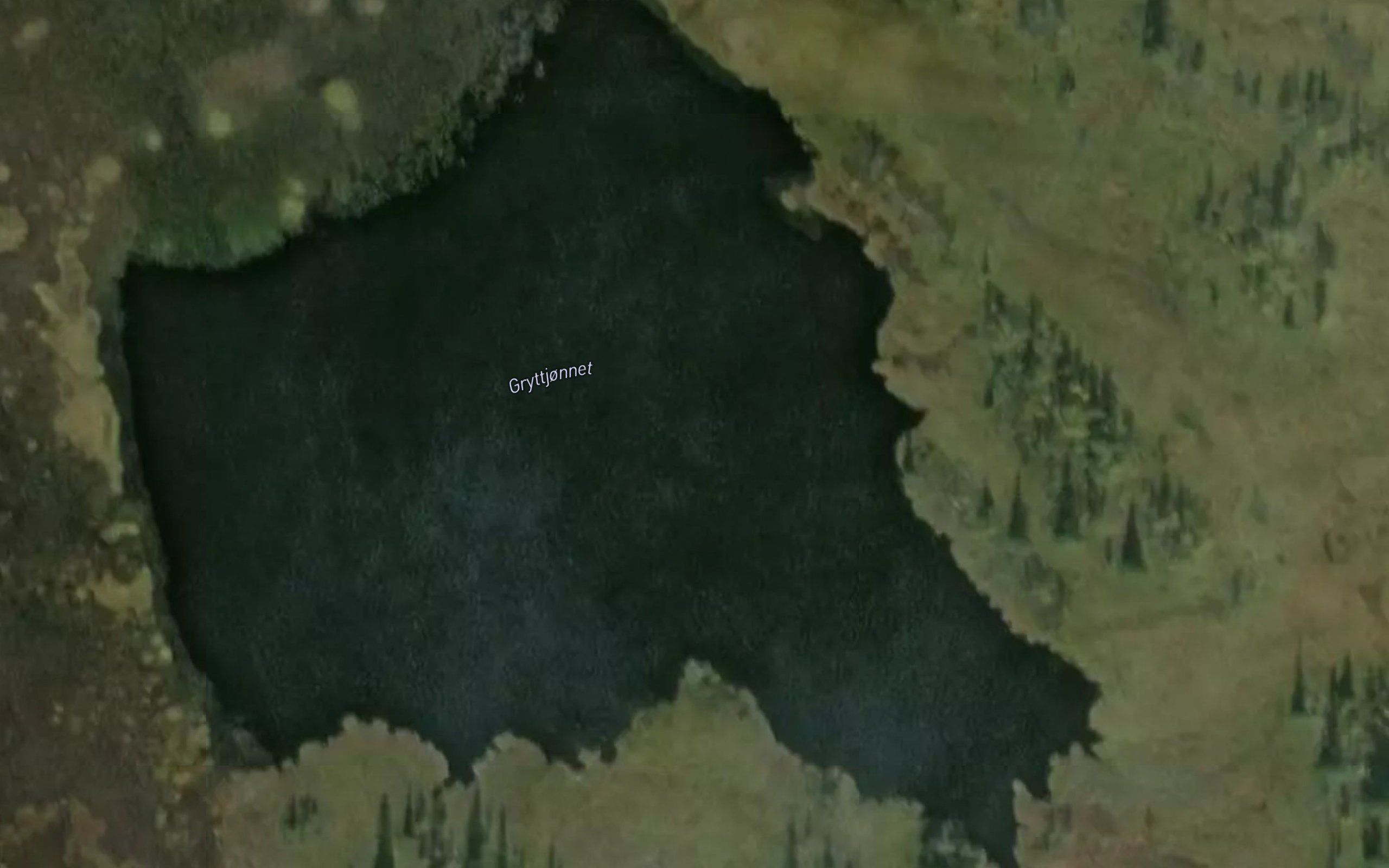 Gryttjornet