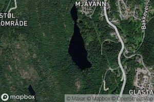 Mjavann
