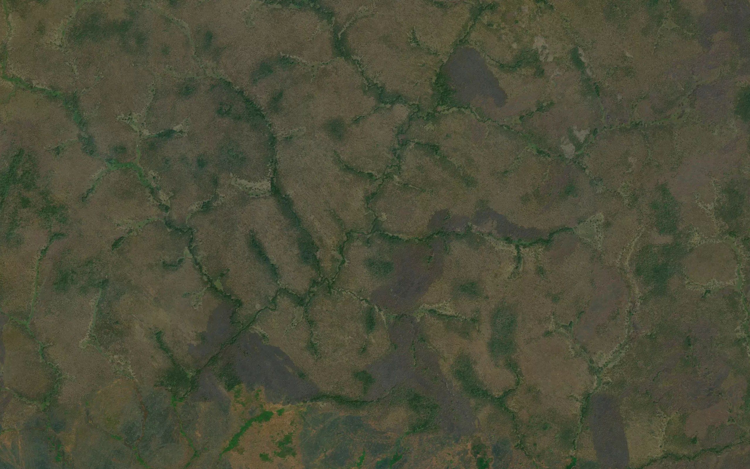 Nyarakayi