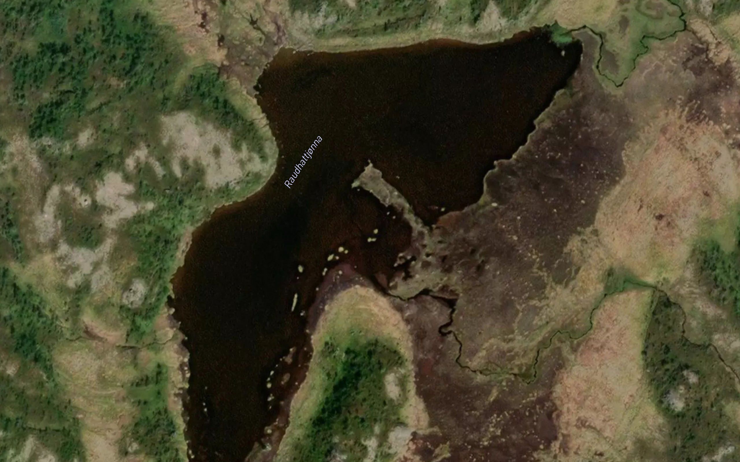 Rauhatt-tjonna