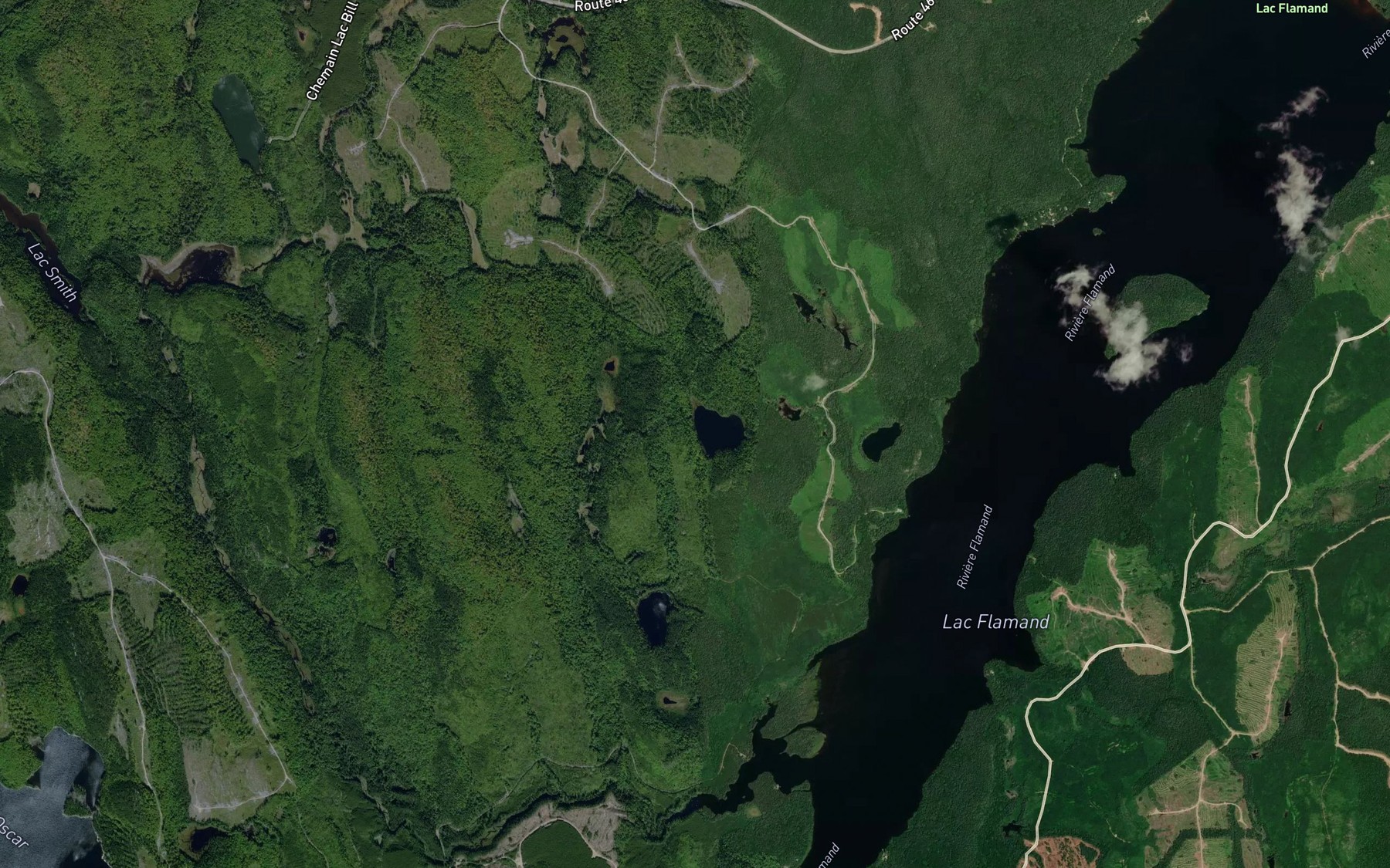 Satellite map of the Lac Cushing