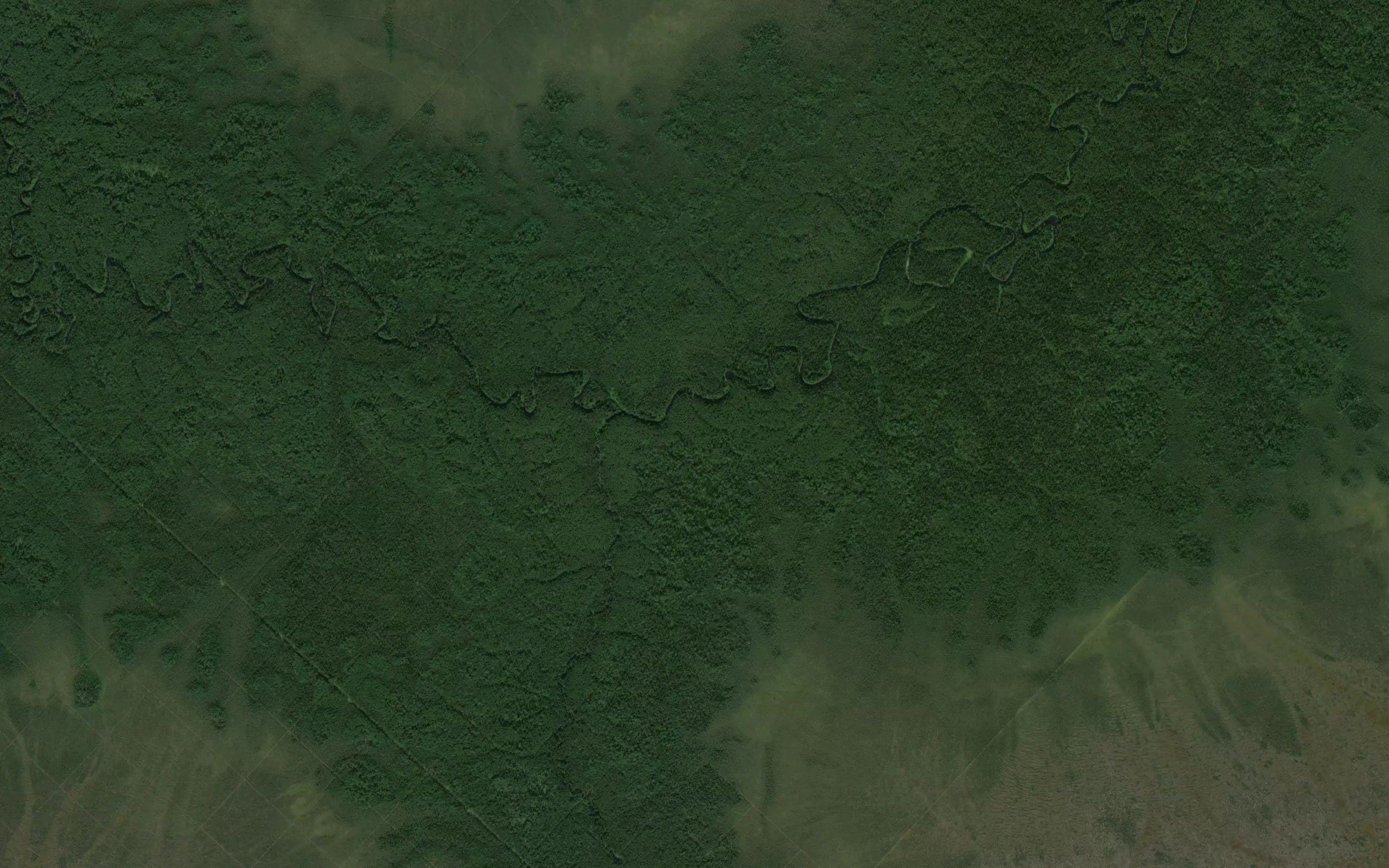 Garnaya