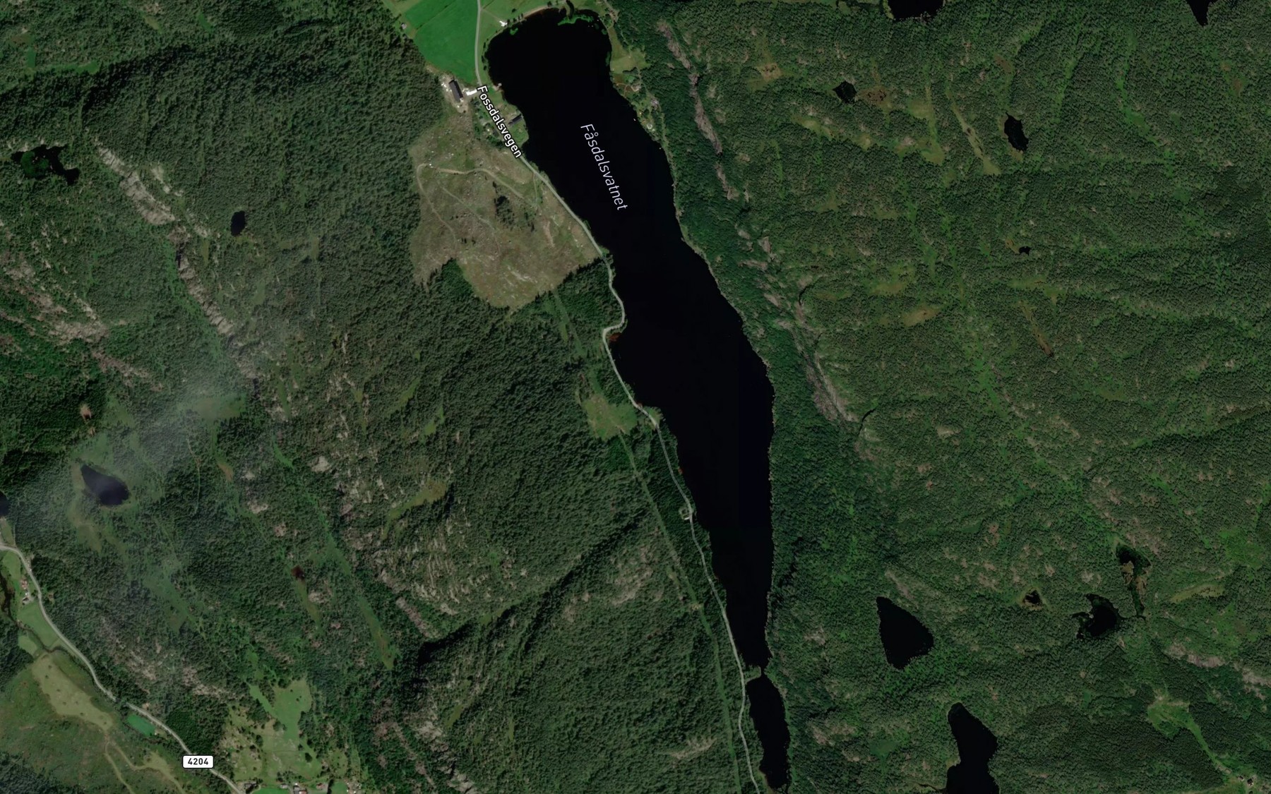 Satellite map of the Fasdalsvatnet