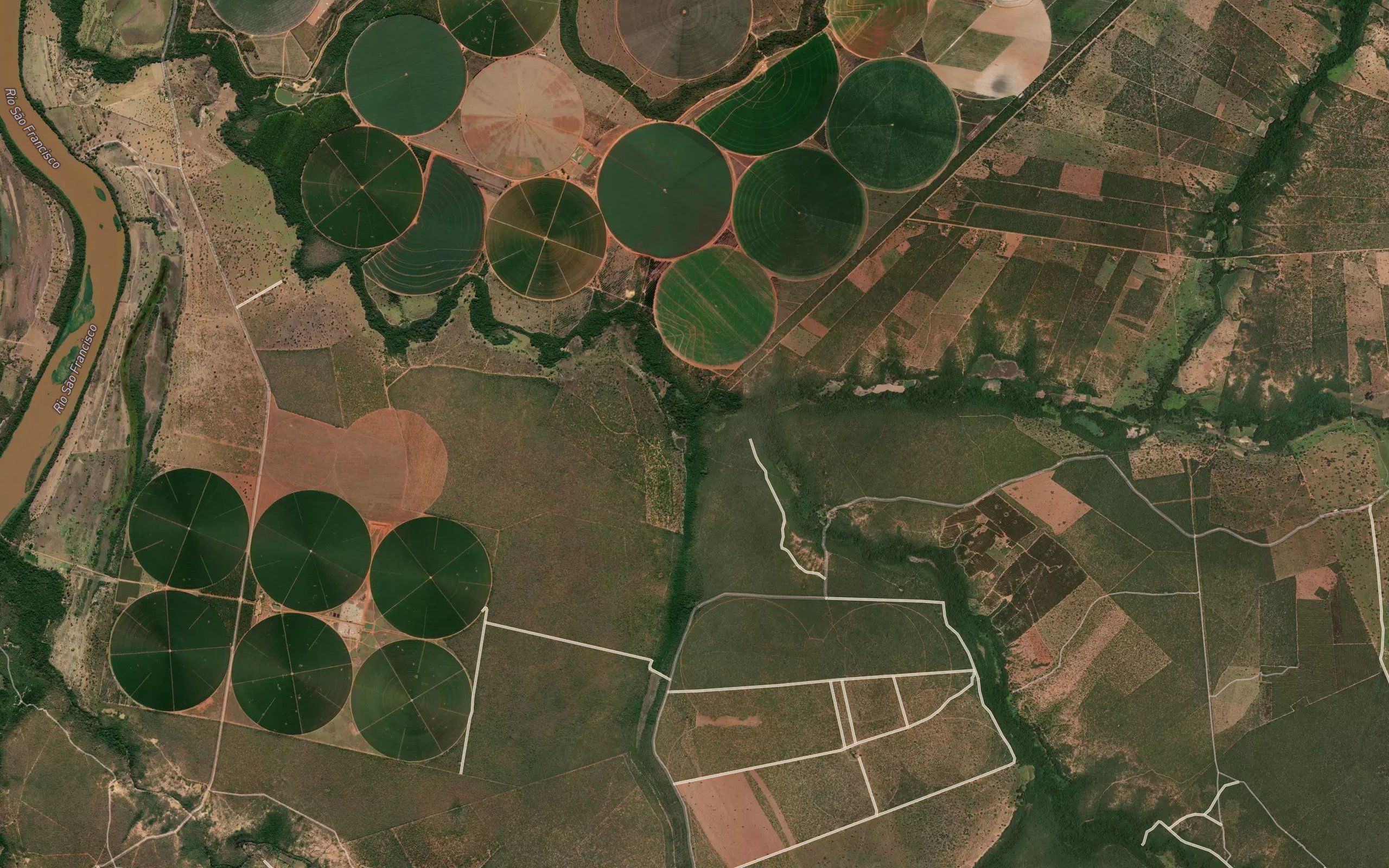 Vereda Velha