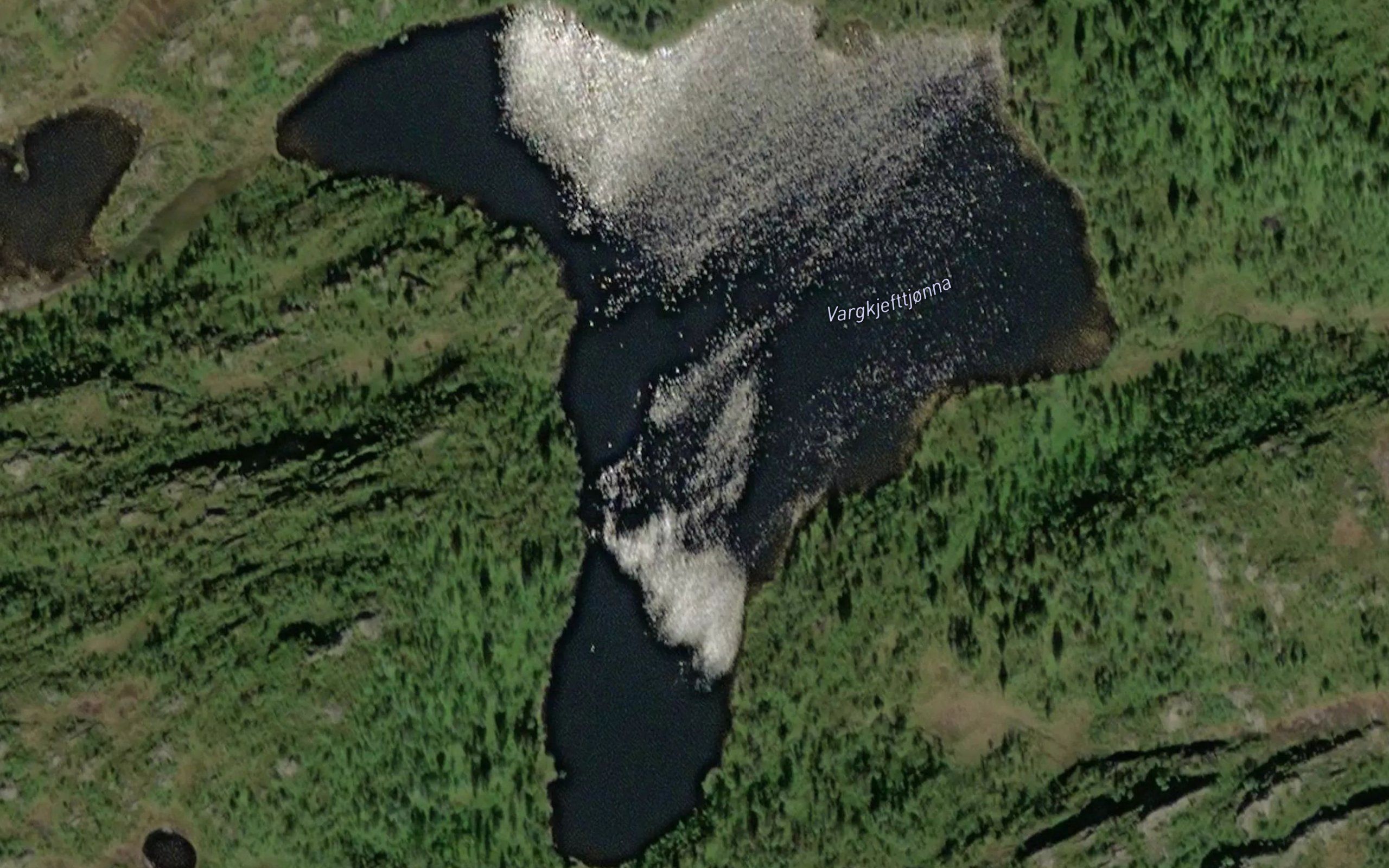 Vargkjefttjorna