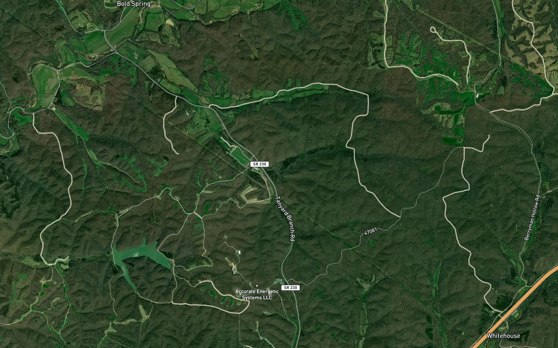 Satellite map of the Young Branch