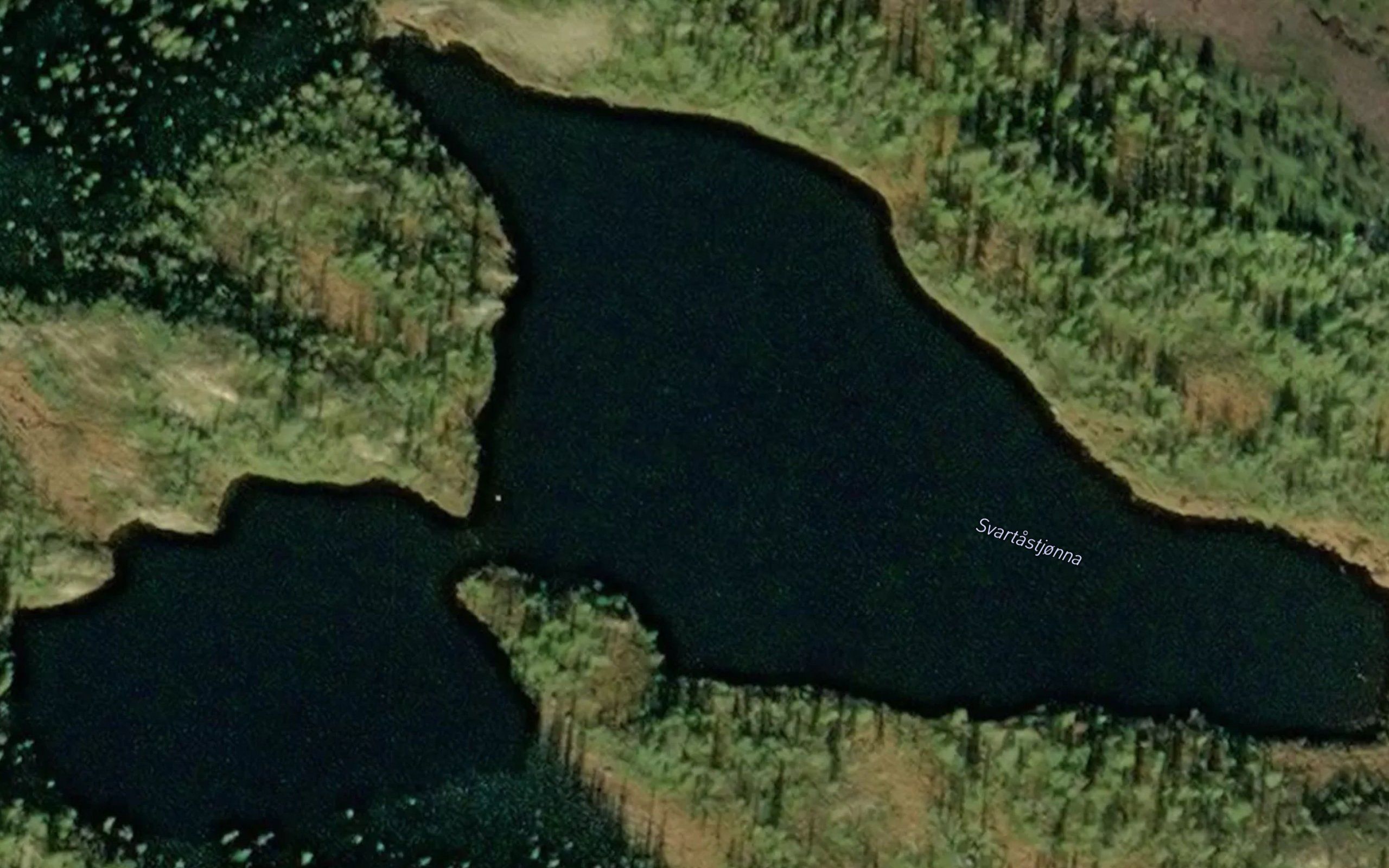 Svartastjonna