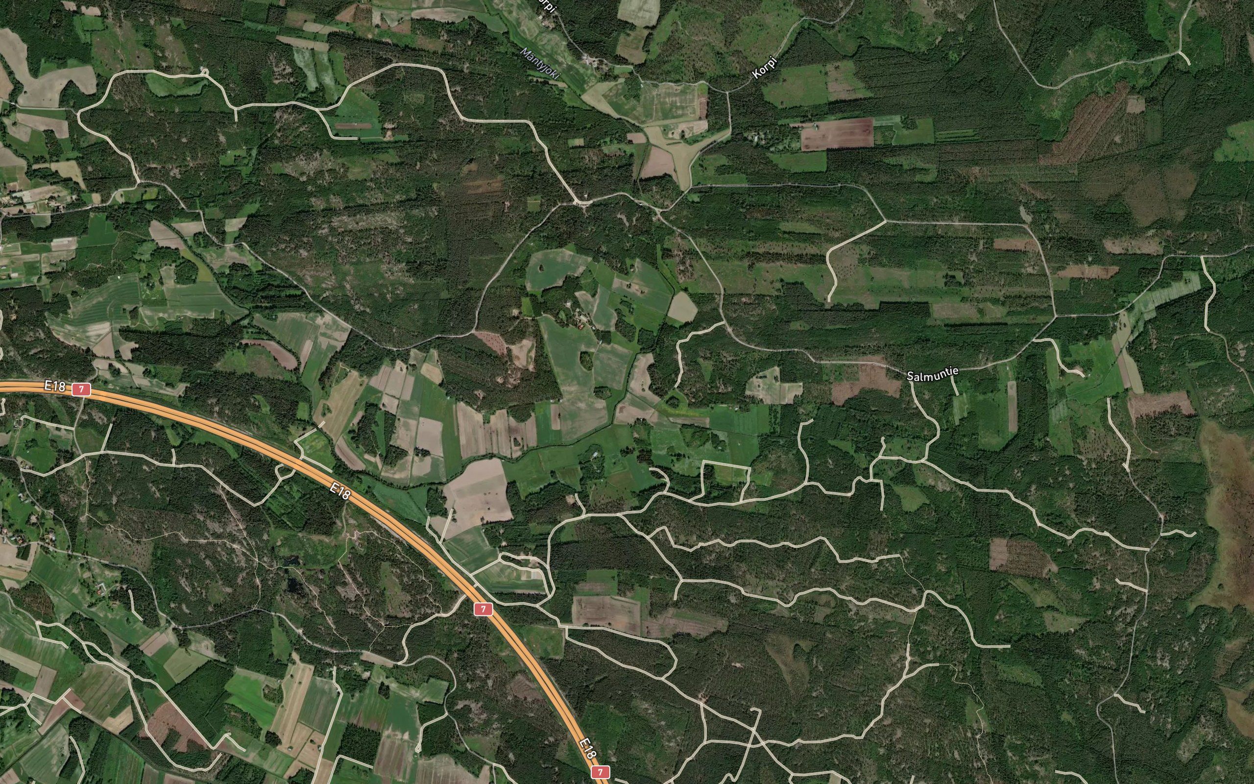 Salmunoja