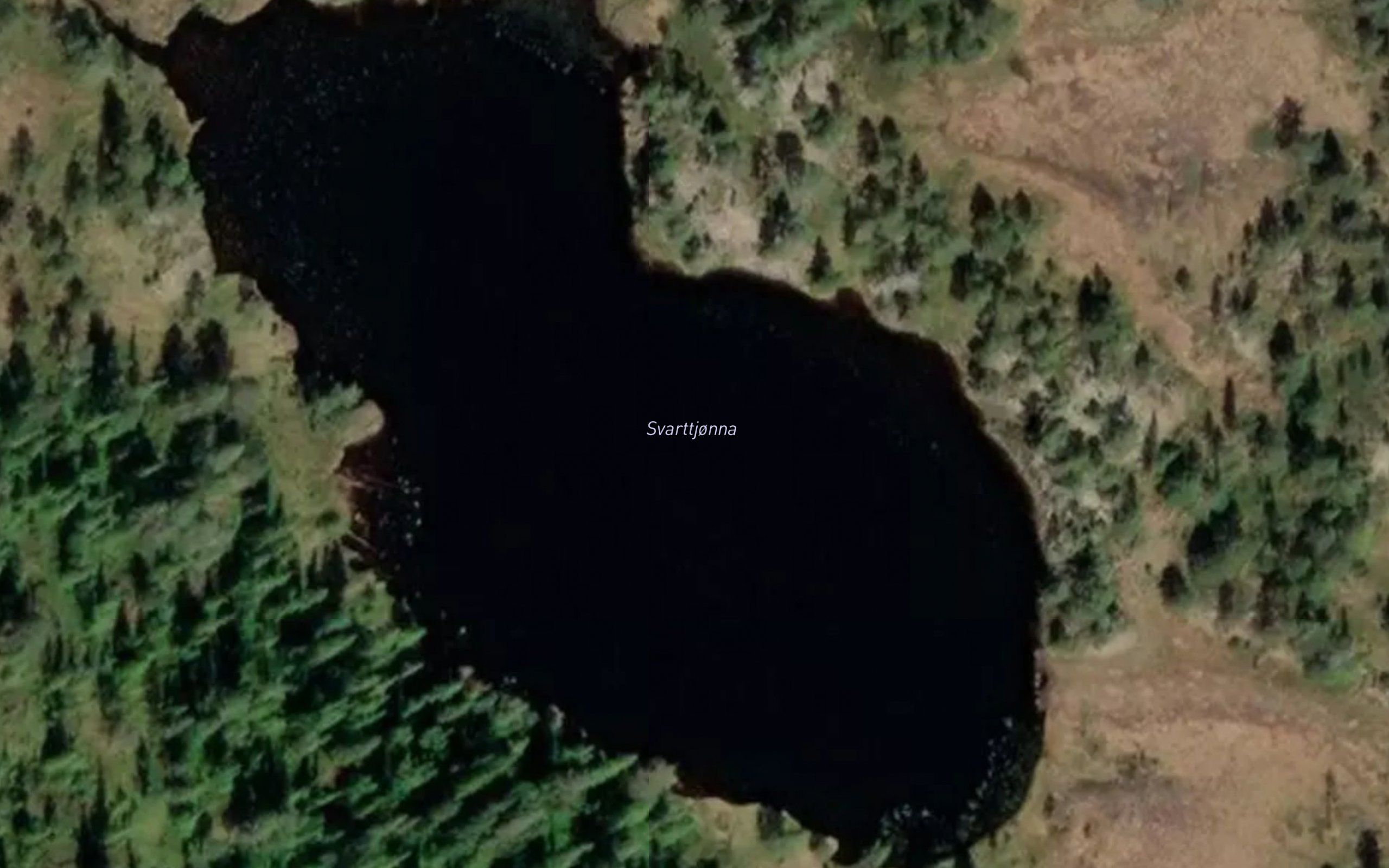 Svarttjonna