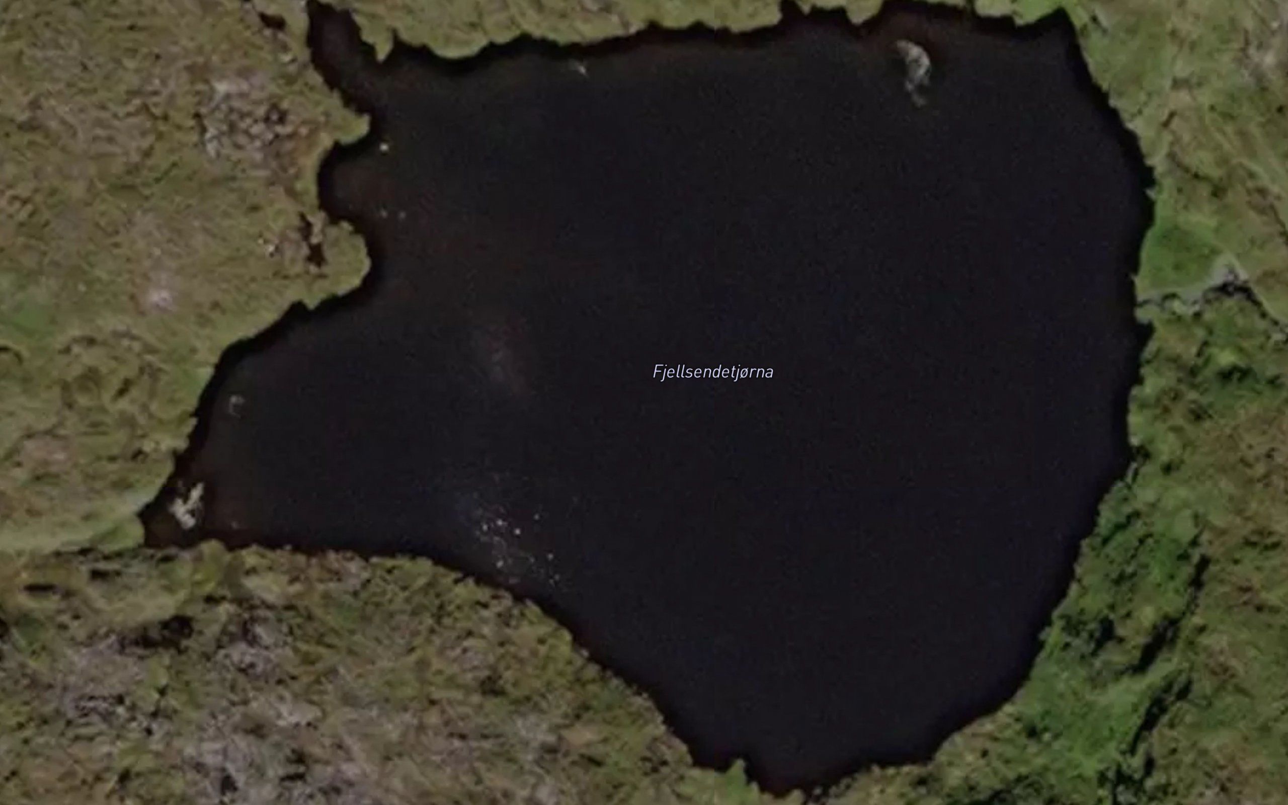 Fjellsendetjorna