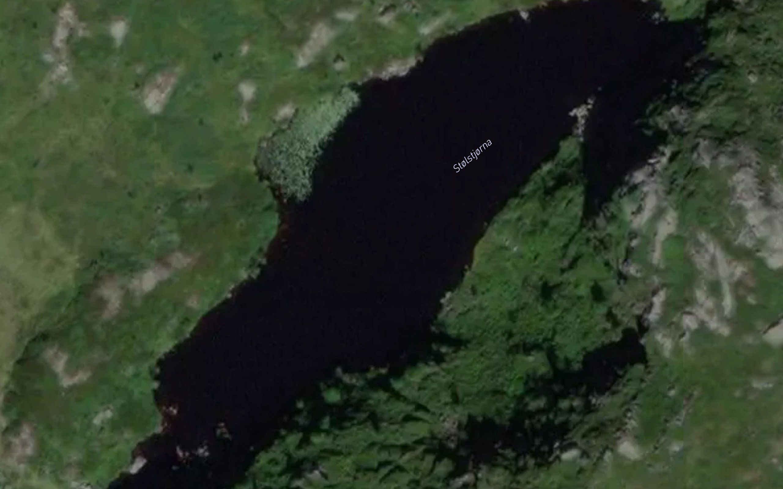 Stolstjornene