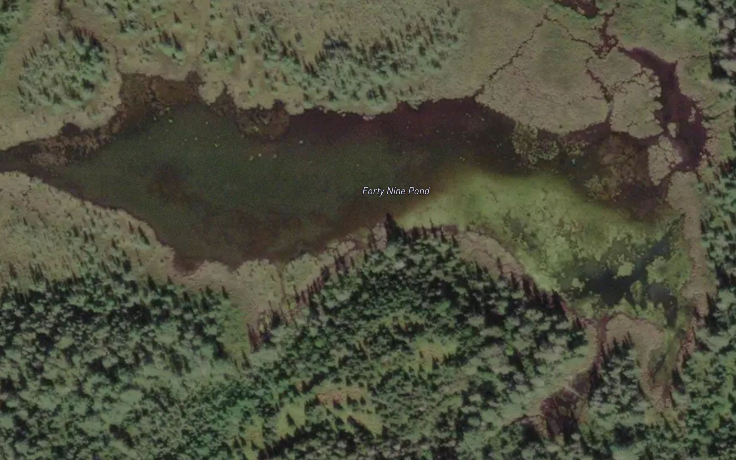 Forty Nine Pond