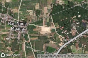 Nong Wang Yao
