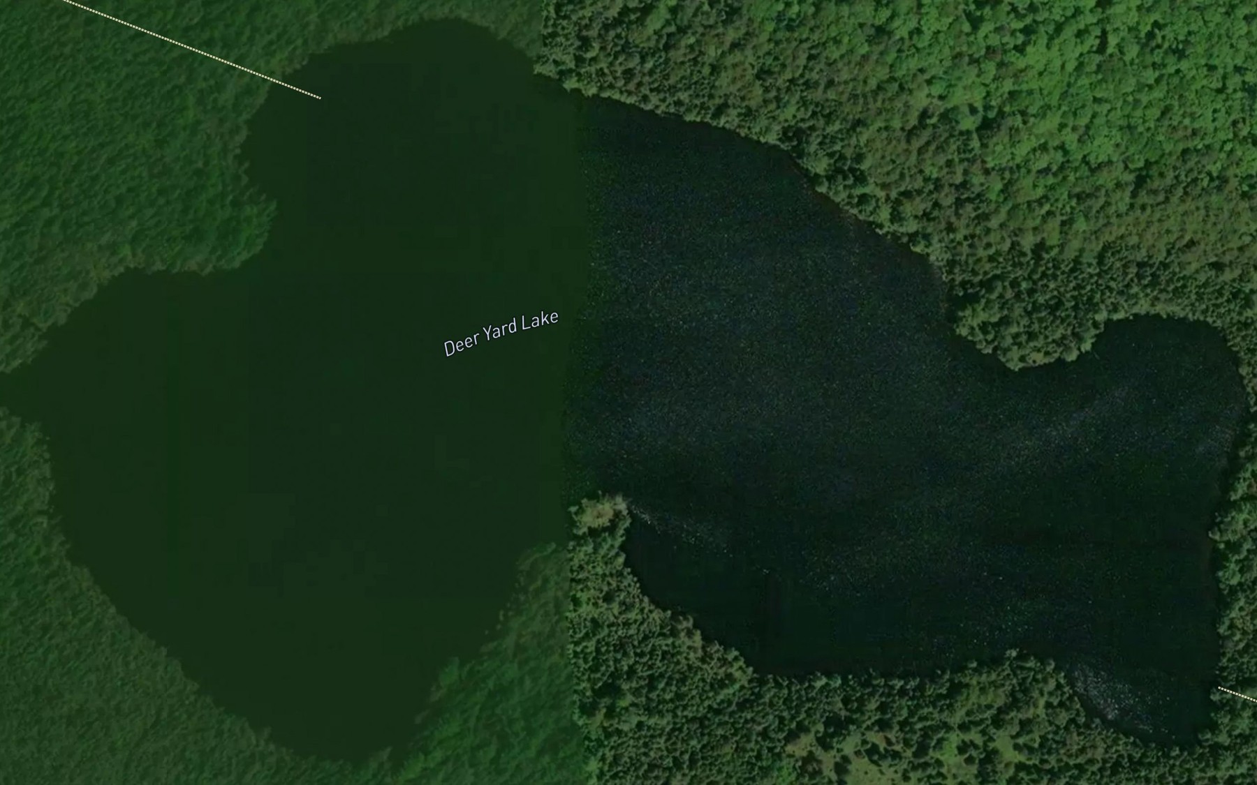 Satellite map of the Deer Yard Lake