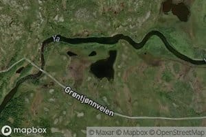 Helgestjonna