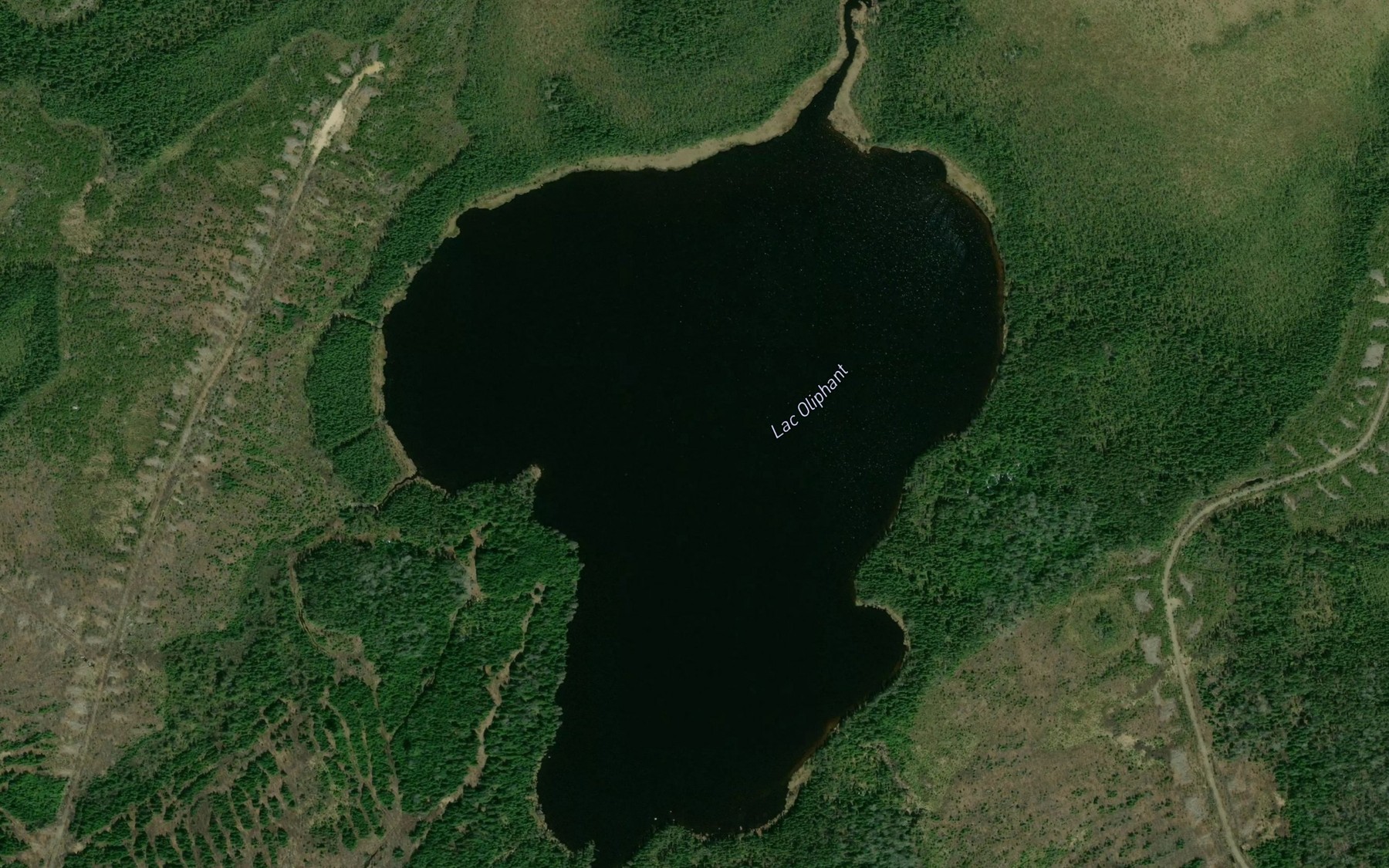 Satellite map of the Lac Oliphant
