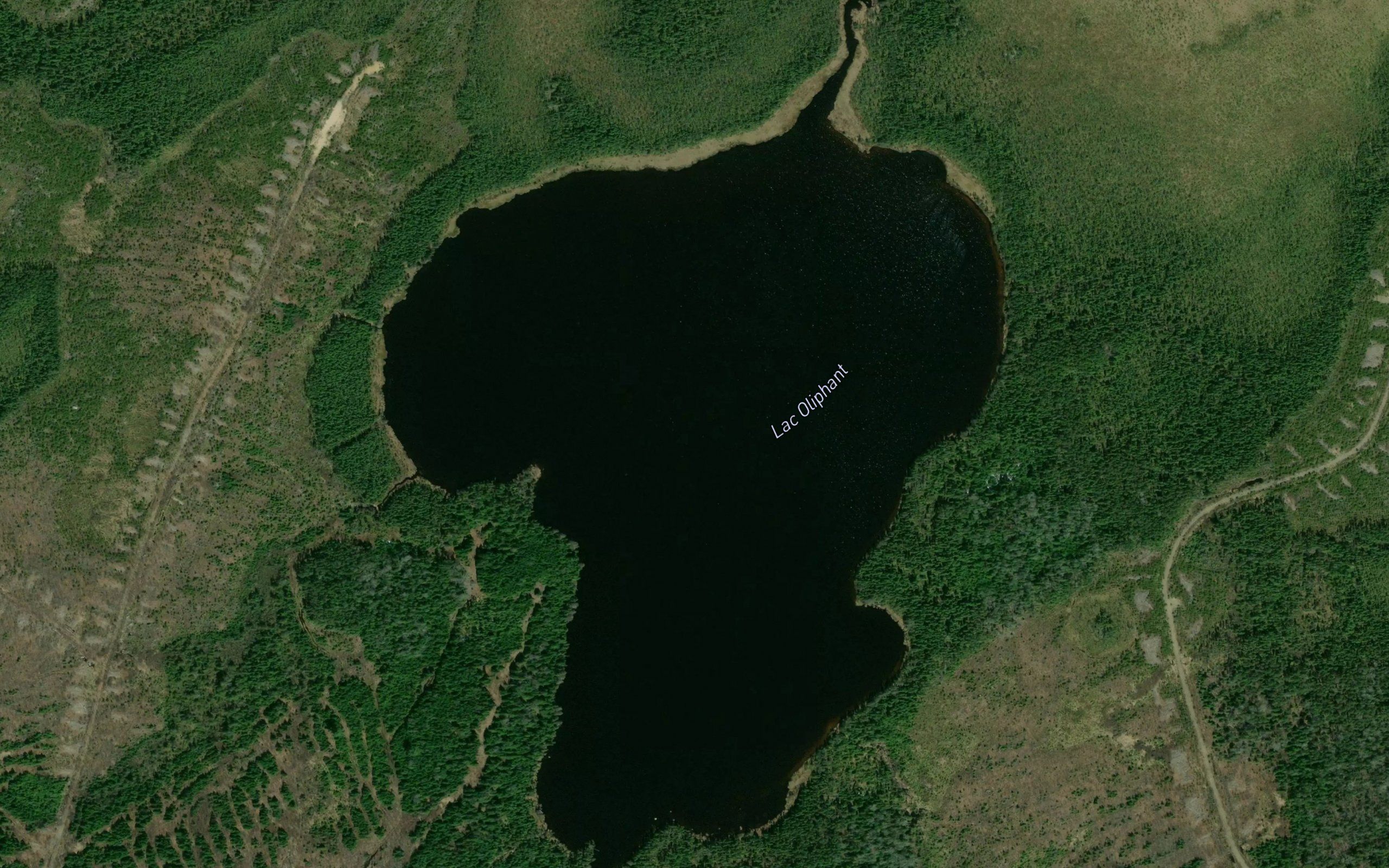 Lac Oliphant